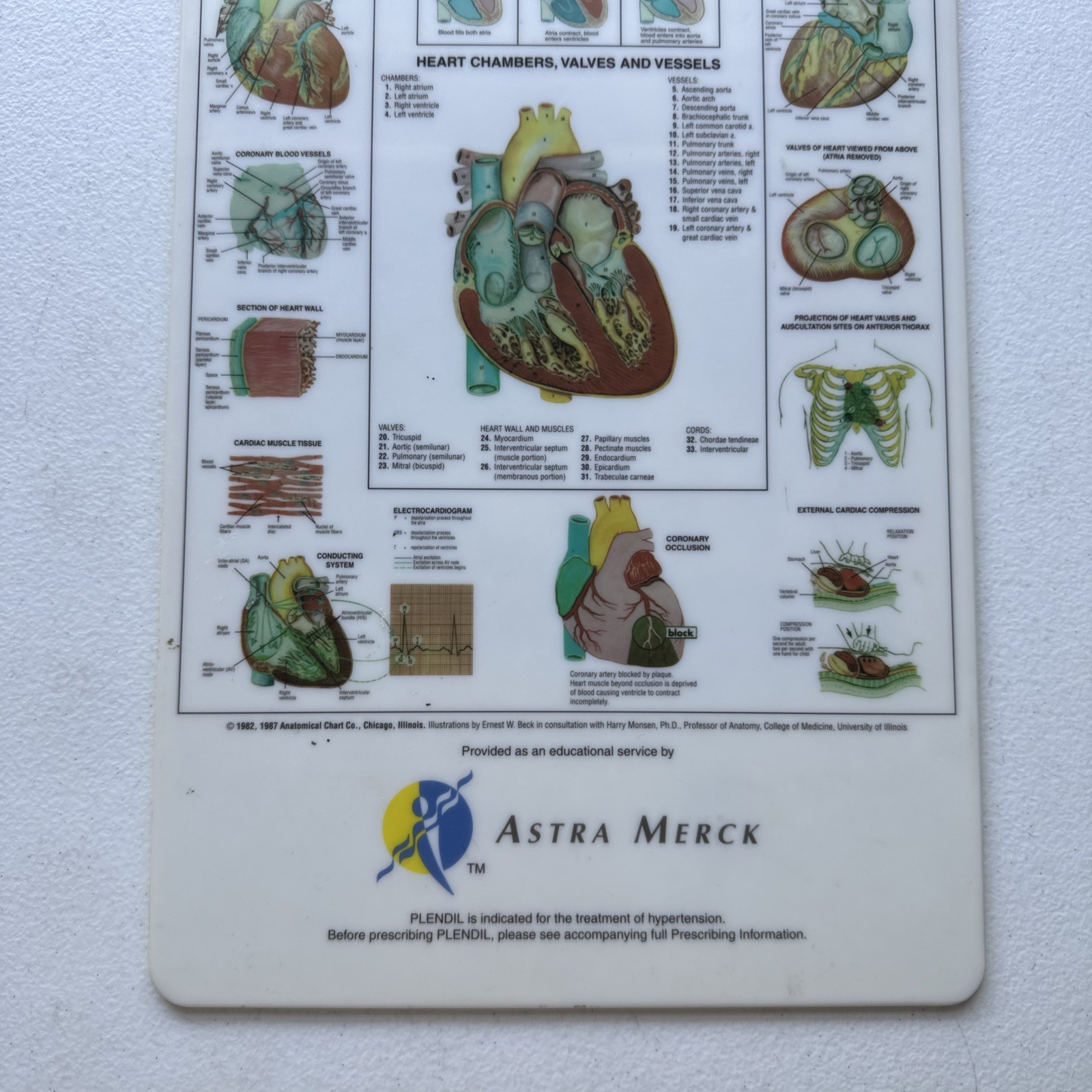 Vintage Plendil (Felodipine) Drug Advertising Clipboard