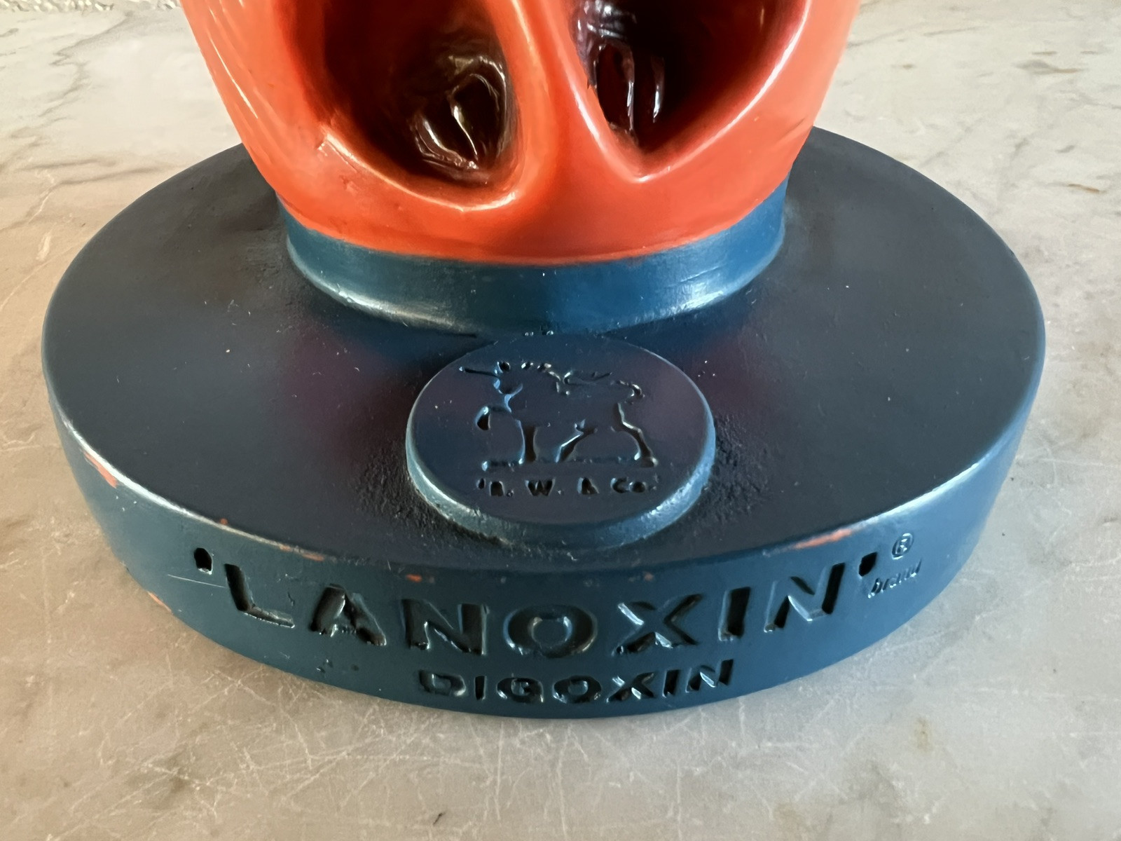 Vintage Burroughs Wellcome & Co. Lanoxin Digoxin Heart Model 3D Diagram Labeled
