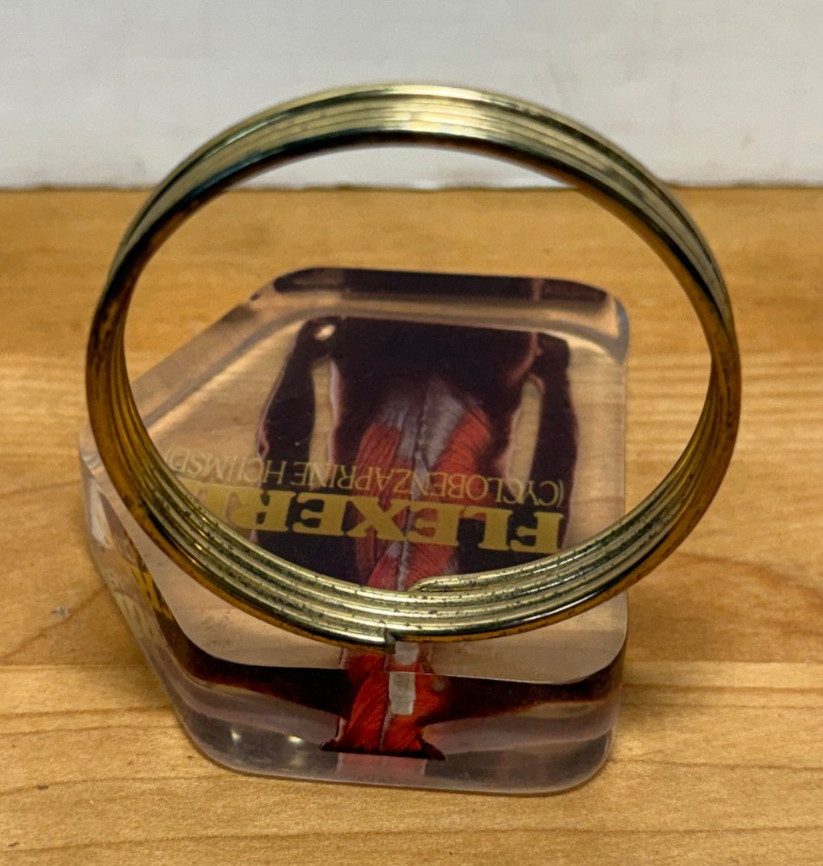 Flexeril Lucite Desk Letter Holder Merck & Co Drug Rep Promo Pharma Marketing