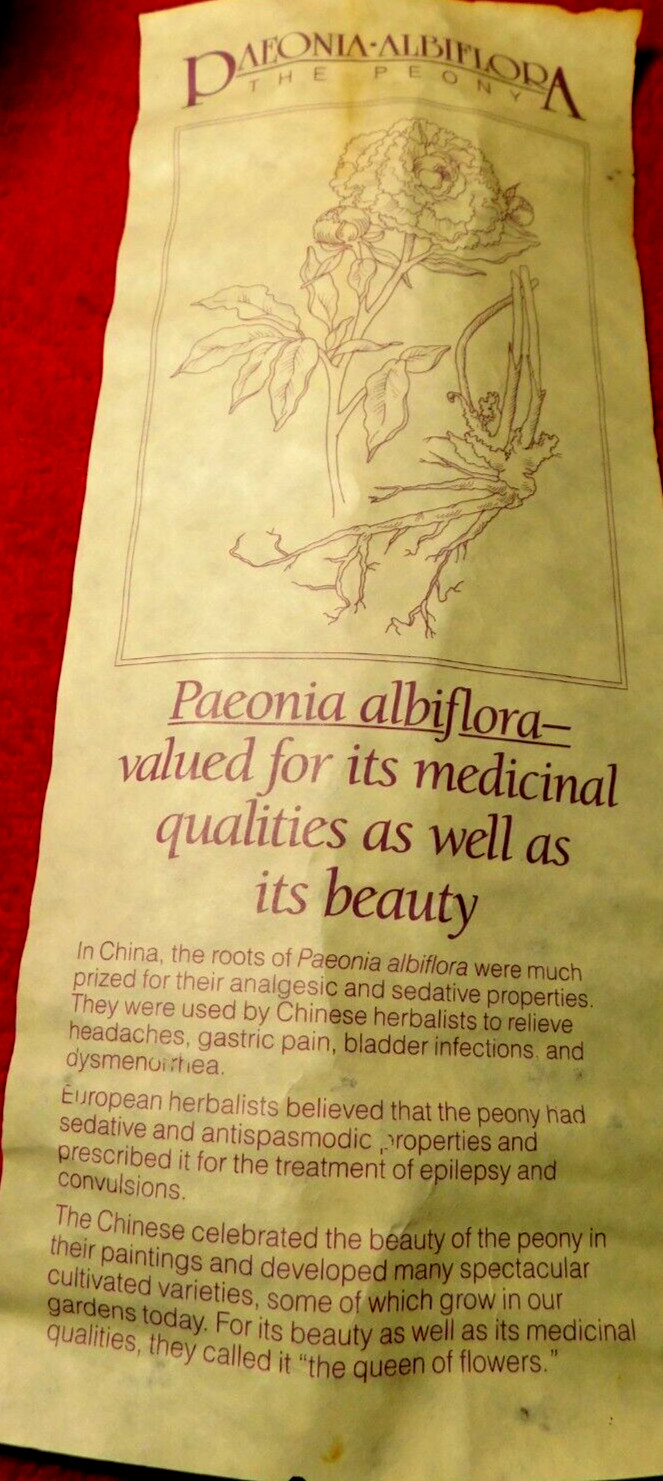 C/J~Apothecary Jar Eli Lilly “Paeonia Albiflora” Pharmaceutical 4-58 Blue Empty