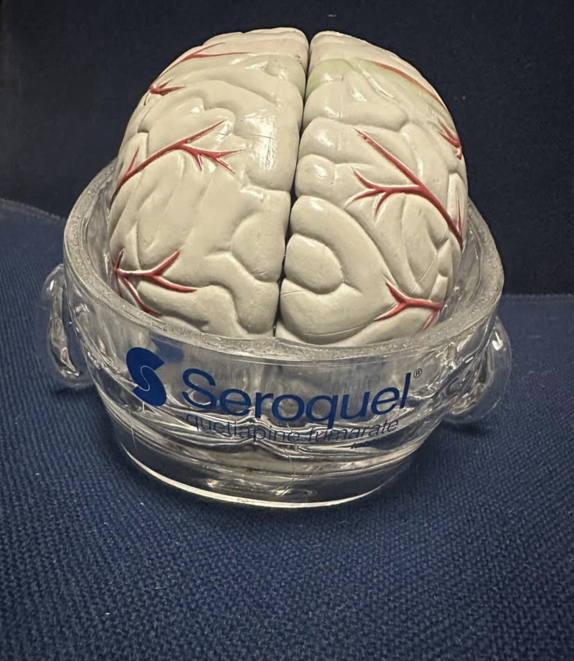 Retired Collectible Seroquel Anatomic Brain Drug Rep/pharma