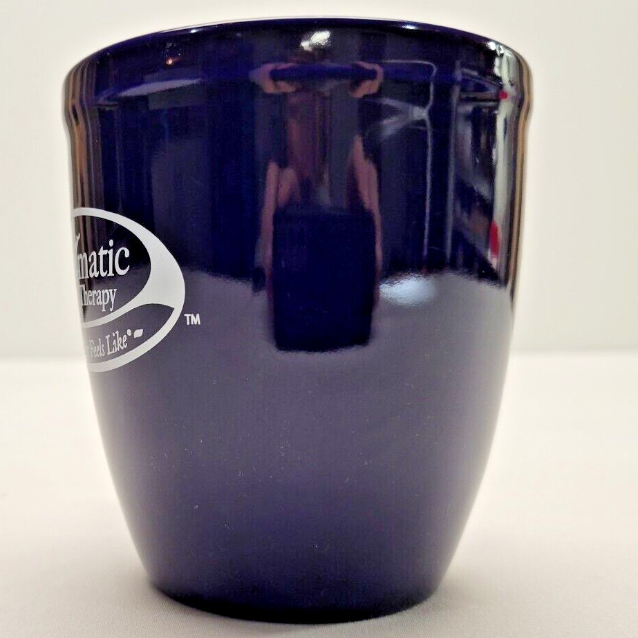 Enzymatic Therapy Mug Dark Blue Pharmacy Drug Rep Promotion 16 oz.