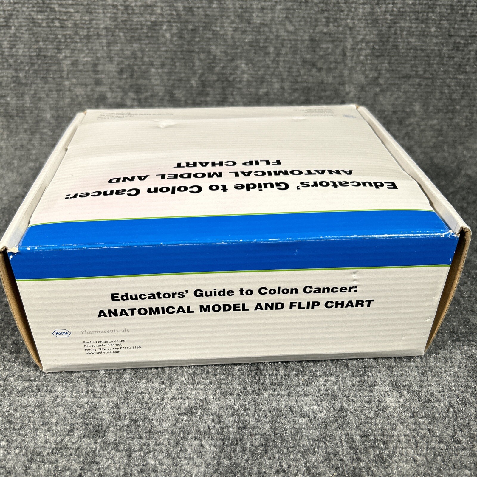 Colon Cancer Anatomical Anatomy Model Chart Display Roche Pharmaceutical Xeloda