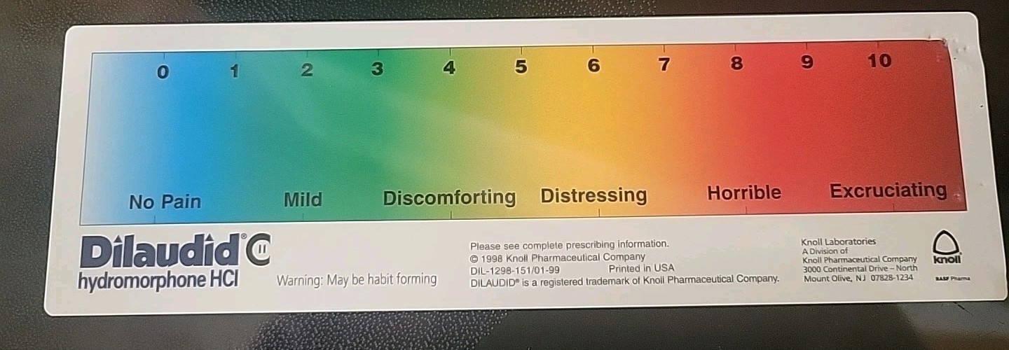 DILAUDID HYDROMORPHONE PAIN SCALE RULER Plastic -Pharmaceutical Rare Promo