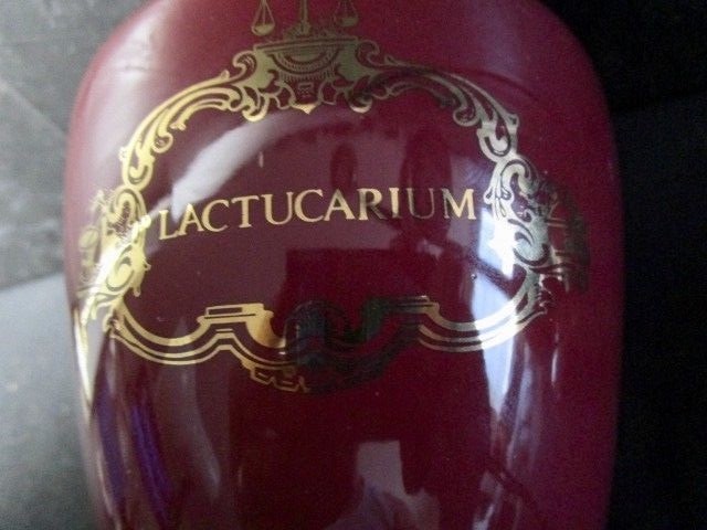 Lactucarium Jar Monastery Decorative Porcelain Burgundy Gold Accents Unique
