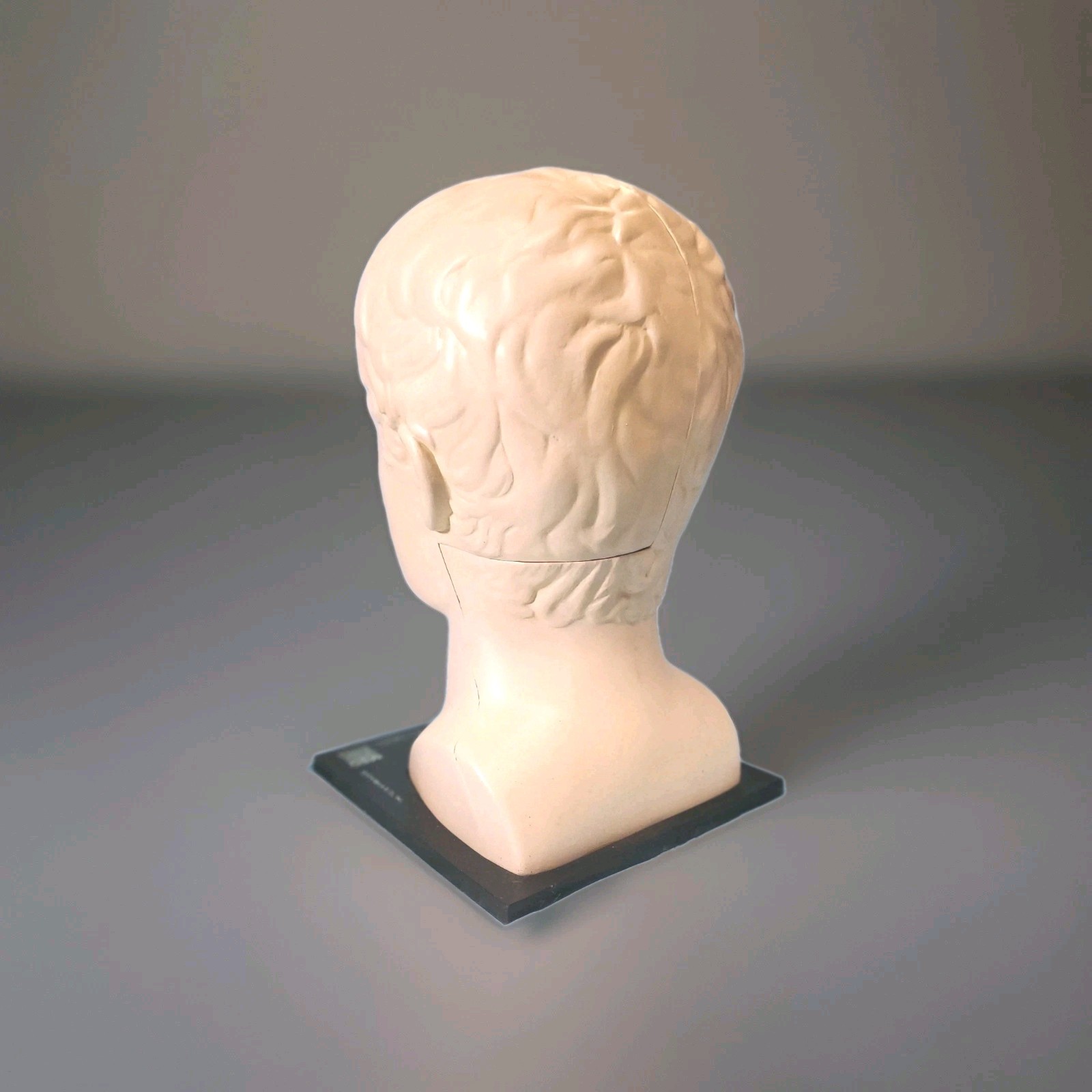 Vintage ELAVIL Anatomical Head w/ Removable Brain 1970s MSD Pharmaceutical Promo