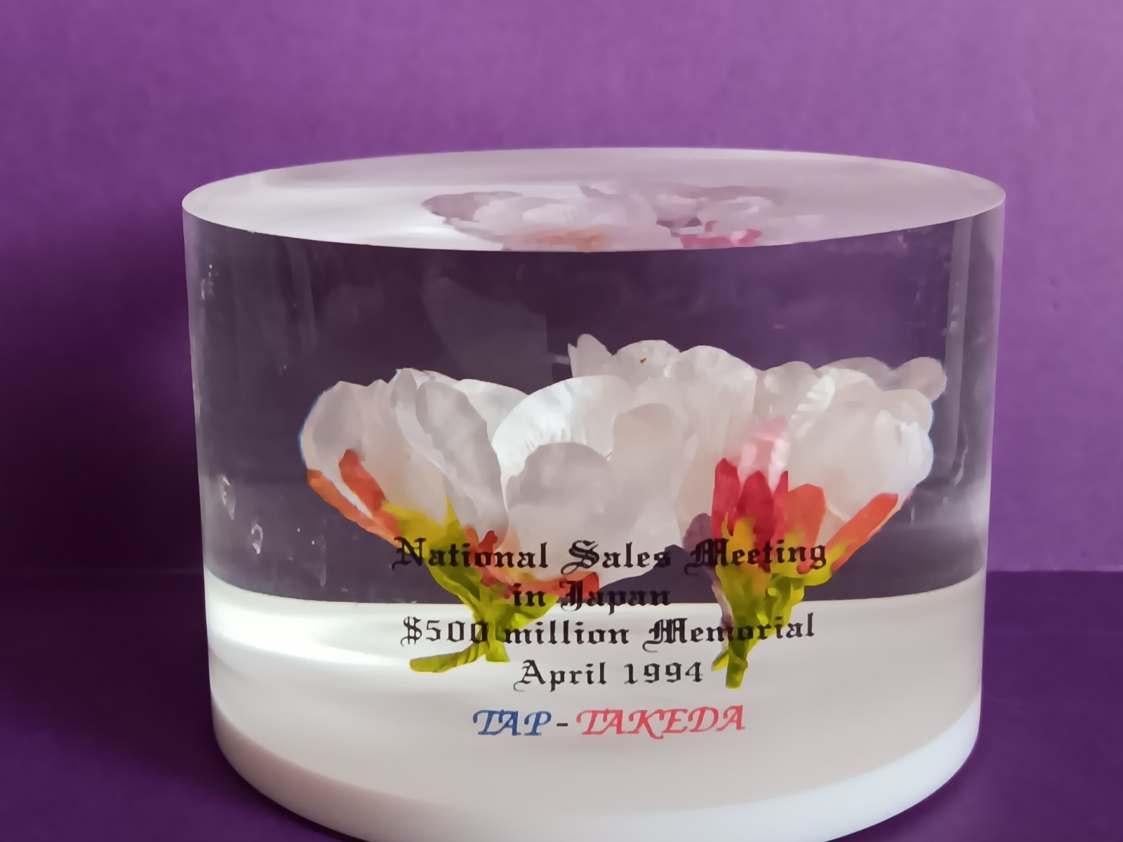 DRUG REP LUPRON DEPOT & LUPRON LUCITE PAPERWEIGHT NATIONAL SALES JAPAN