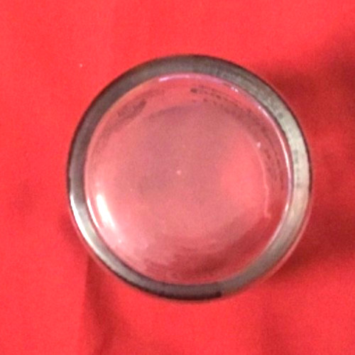 Extracorporeal Hancock Low Pressure Fixed Heart Valve Cocktail Glass Johnson