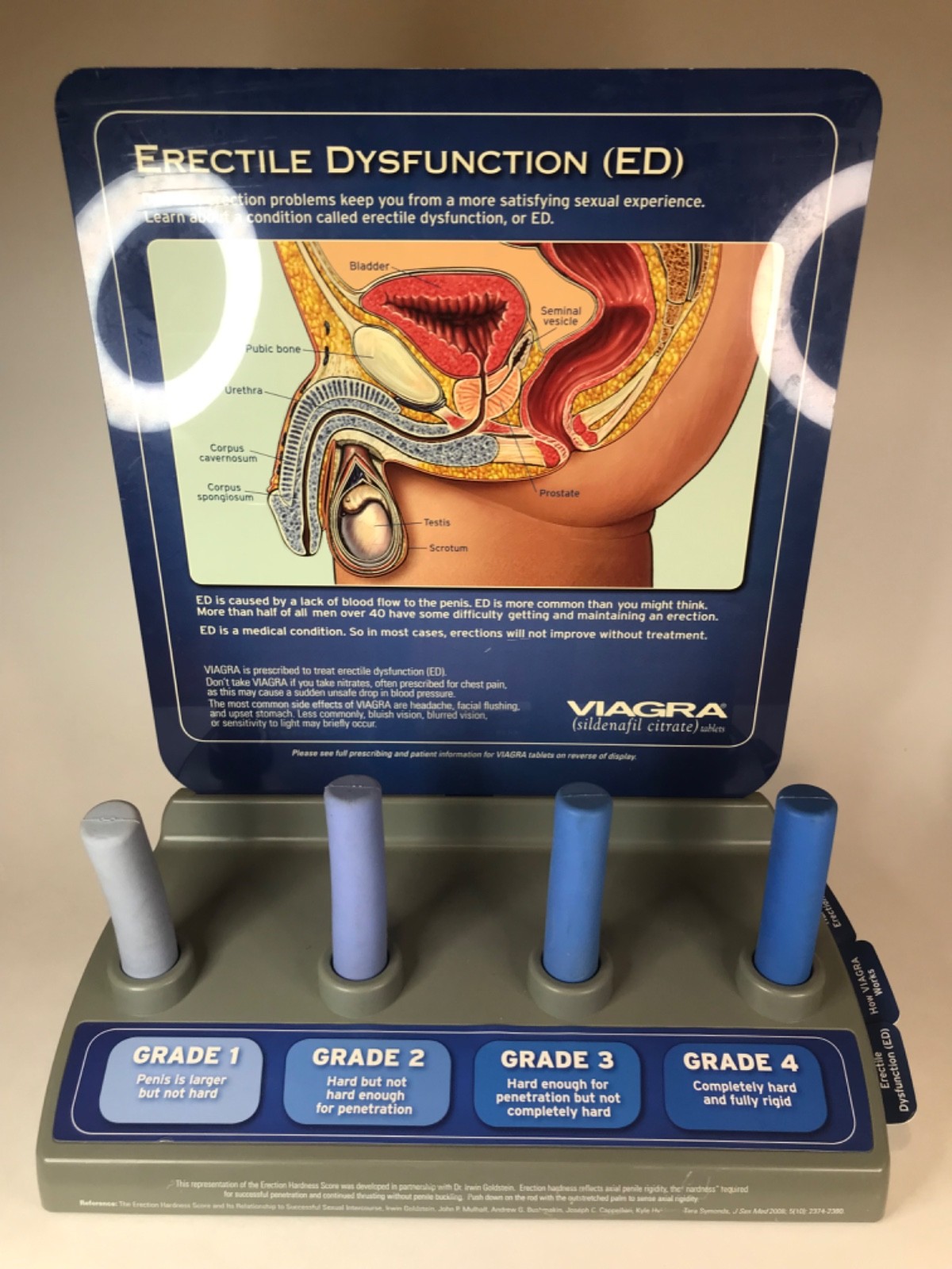 RARE VIAGRA Drug Rep Medical Display Big Pharma Penile ED erection assessment