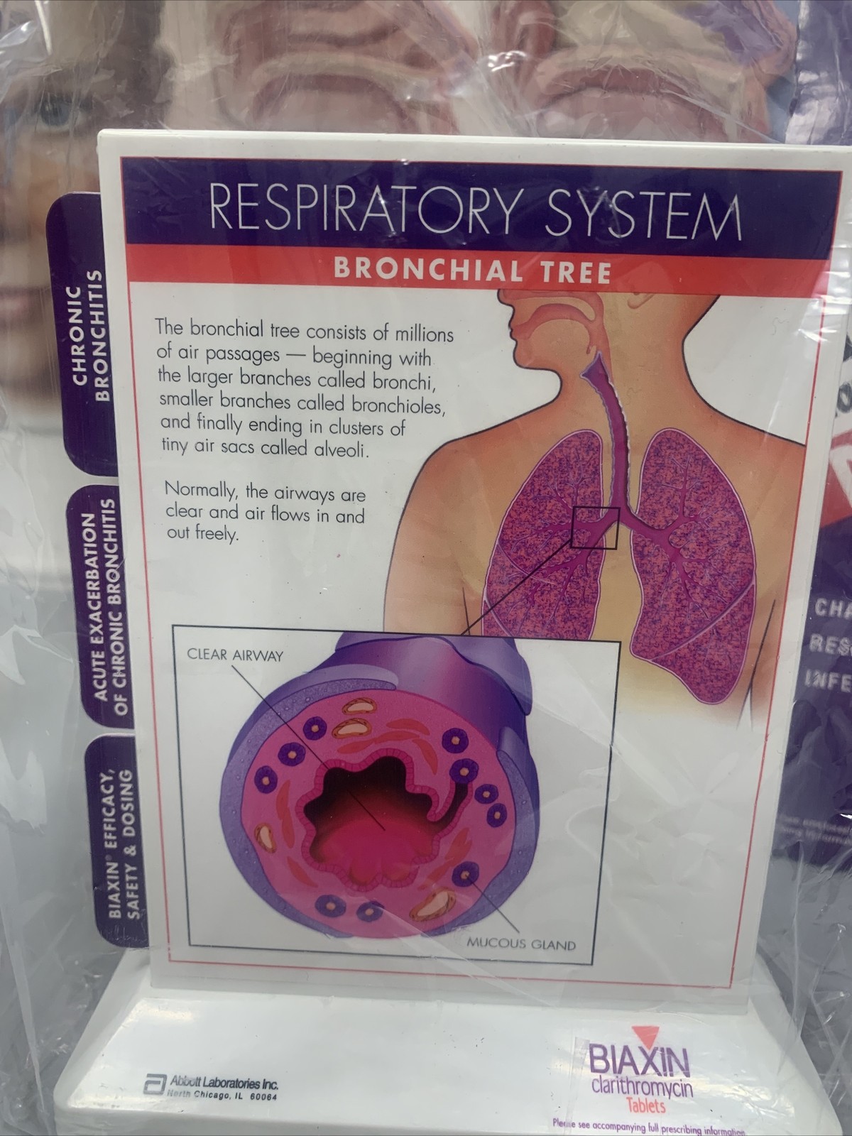 Biaxin Rare Vintage Pharmaceutical Drug Rep Merch New Respiratory System Display