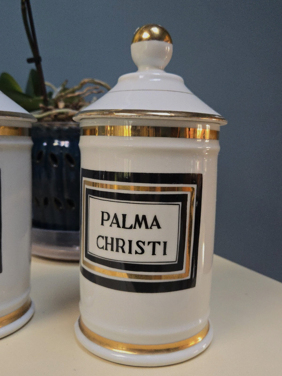 2 Antique Apothecary Jars Porcelain Palma Christi and Lactuca Sativa