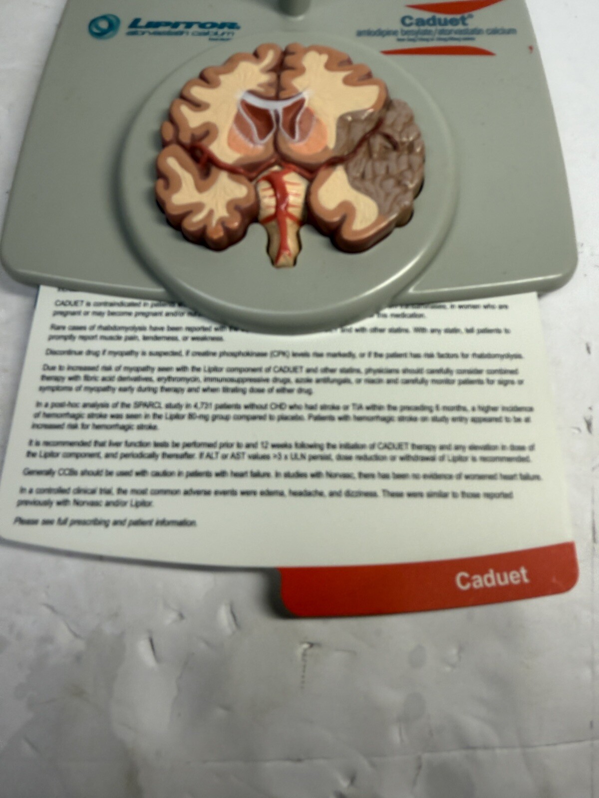 Vintage Drug Pharmaceutical Medical Rep Lipitor CAduet Brain Display