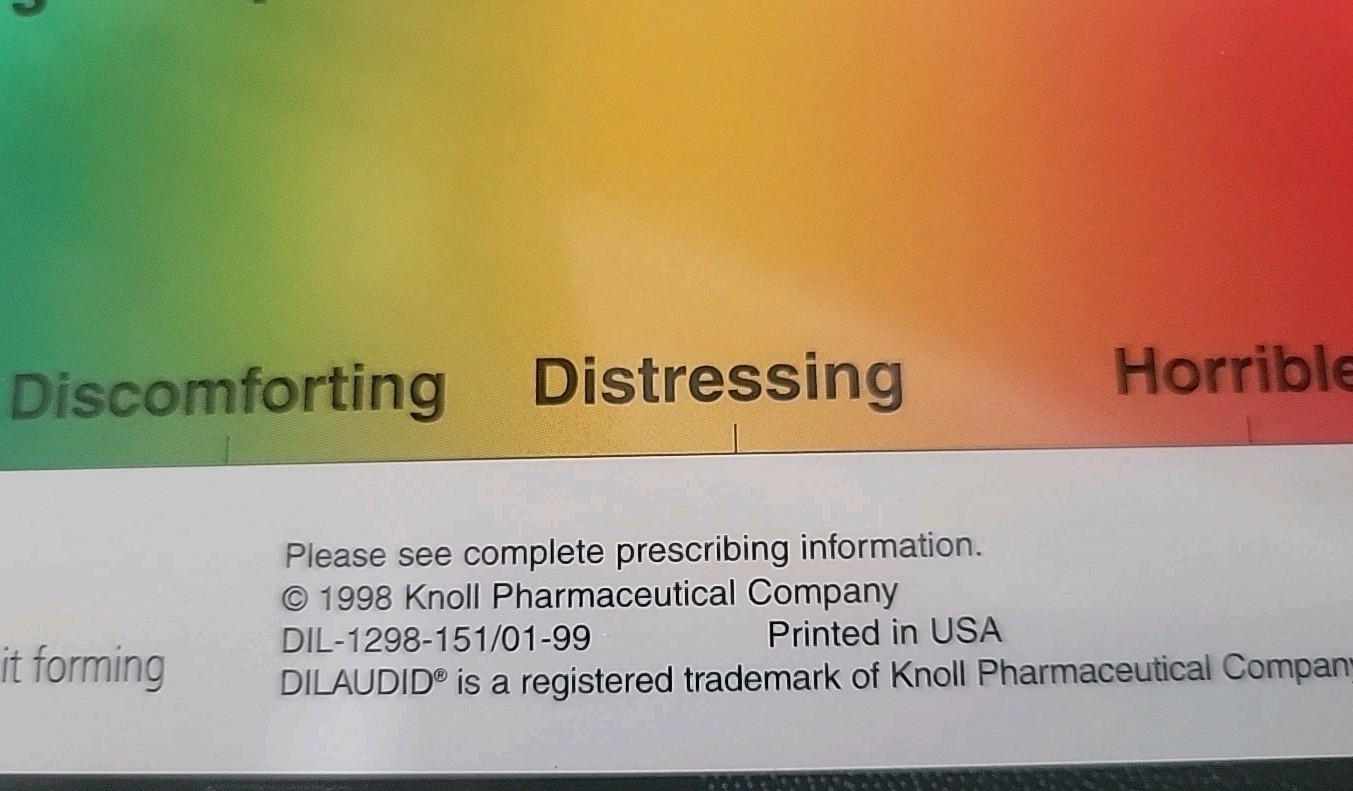 DILAUDID HYDROMORPHONE PAIN SCALE RULER Plastic -Pharmaceutical Rare Promo