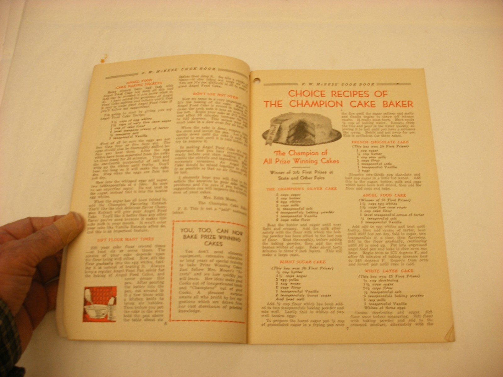 Vtg 1933 F. W. McNess Co. Freeport IL Pharmacy Medical Cure Cookbook