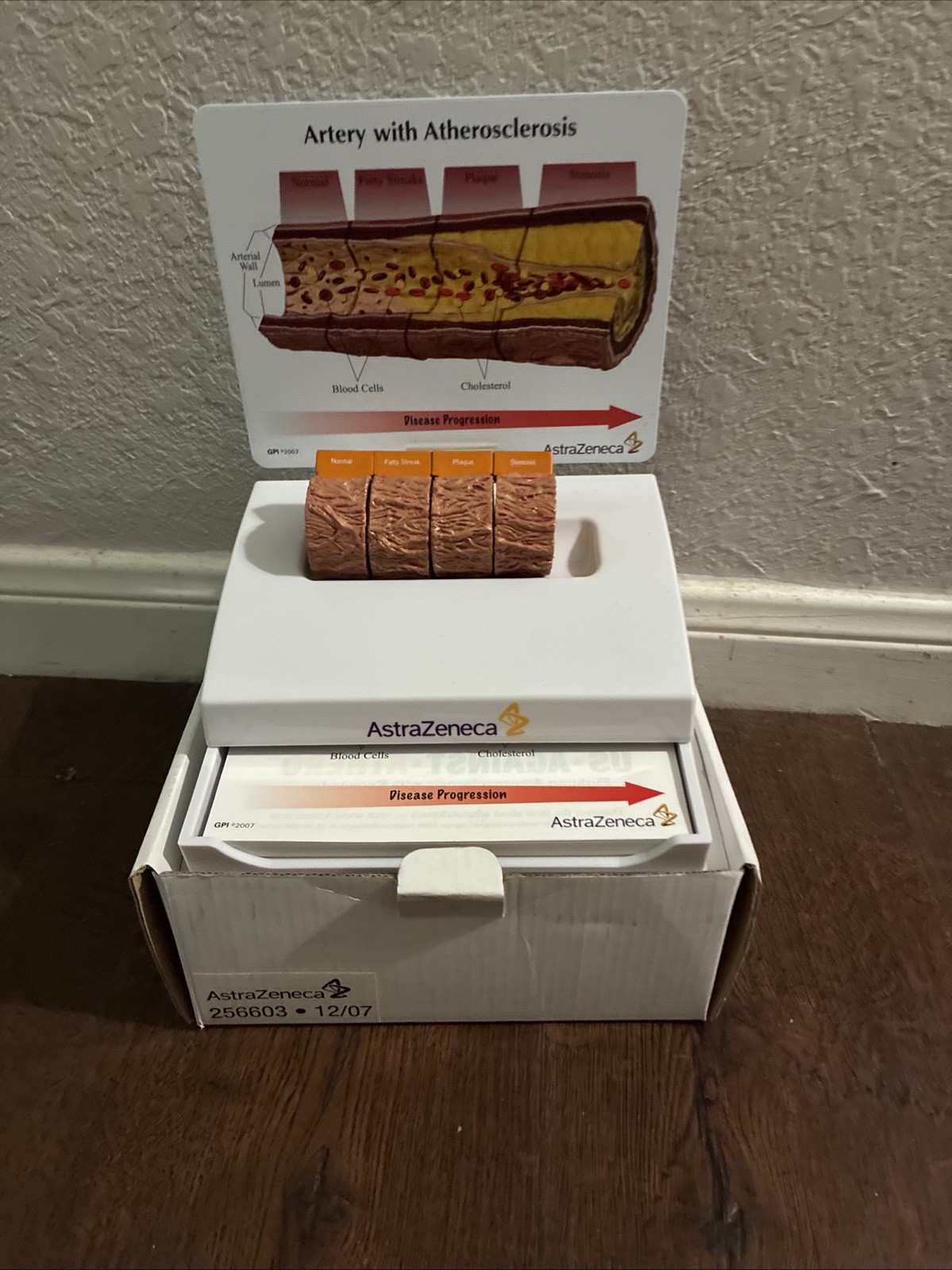 Drug Demonstration Promo AstraZeneca Cholesterol Artery Model W/Flyers 2007