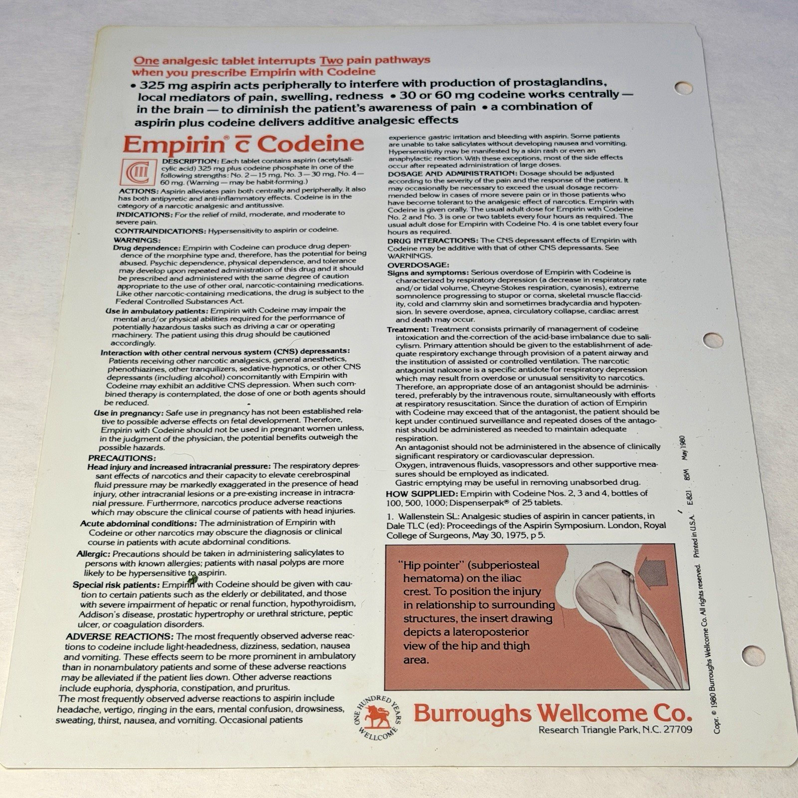 Codeine Medical Charts 5 Drug Rep Ad Promo Pharma Collectible Marketing 1980