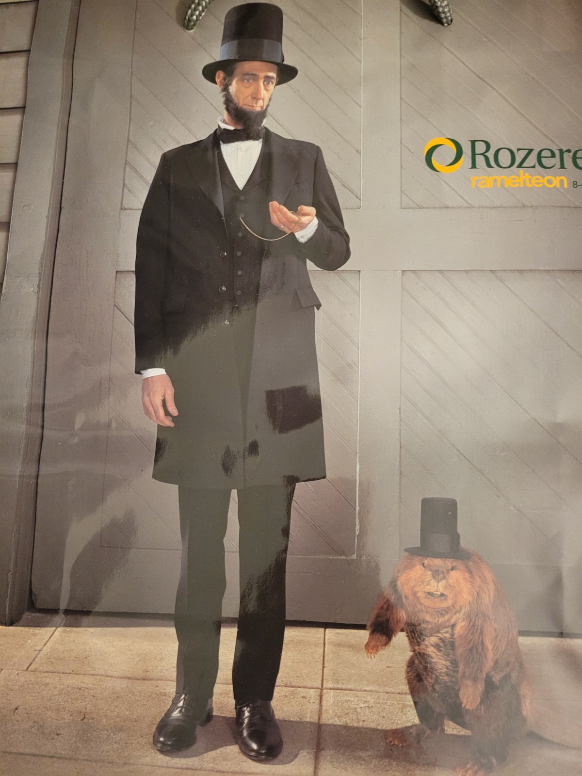 Vintage Rozerem Ramelteon Ad Collectible Gift Bag Pharmaceutical Drug Rep NEW