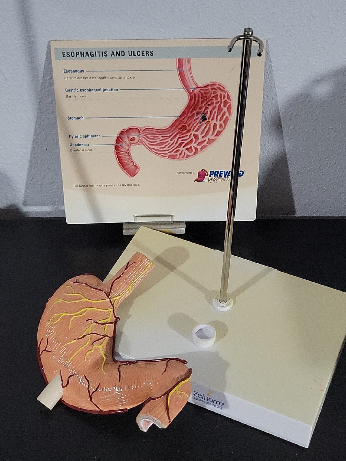 Vtg Prevacid & Zelnorm Doctor Pharmaceutical Display Esophagitis & Ulcers
