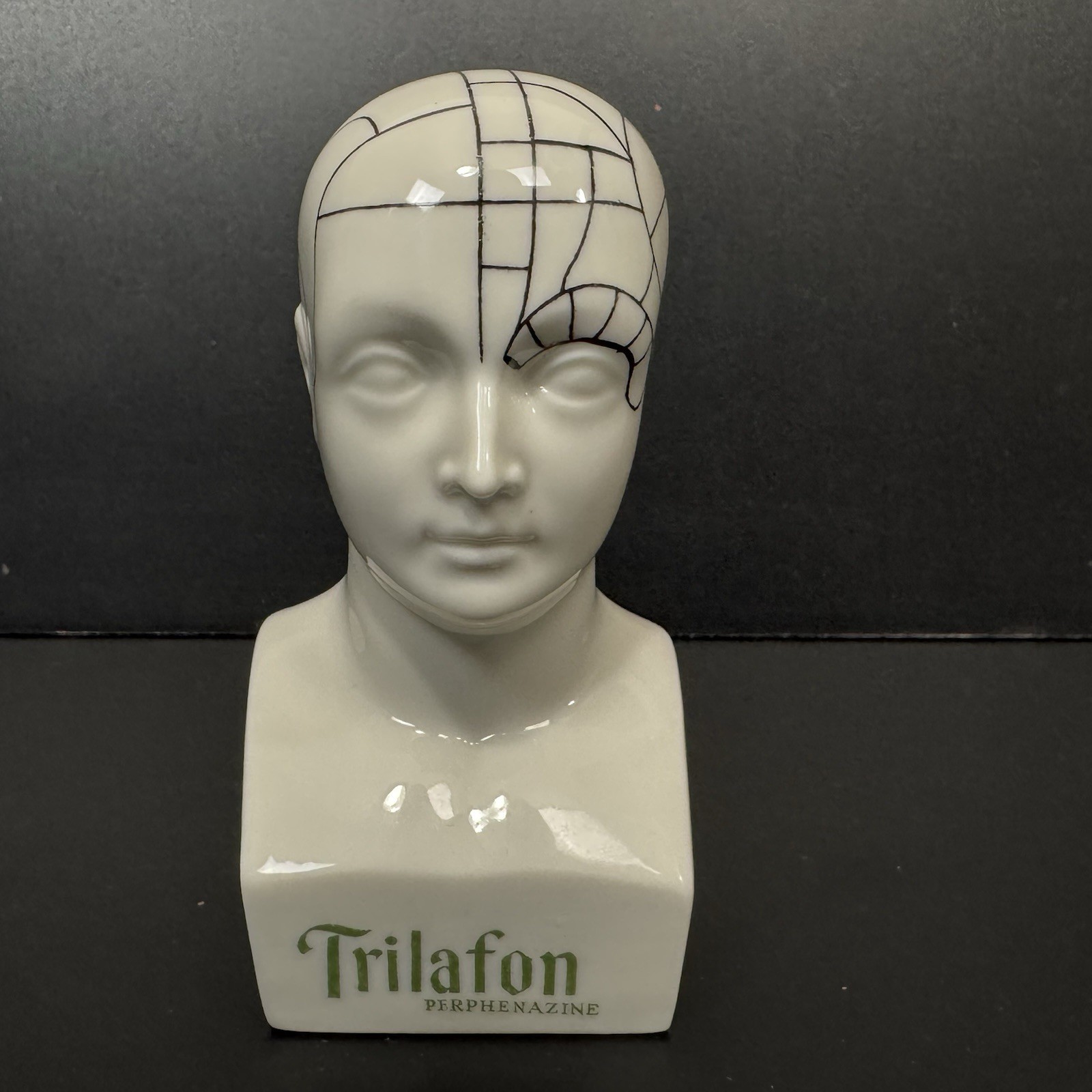 Schering TRIFALON Full-Range Tranquilizer Phrenology Head Ceramic Bust 1960s