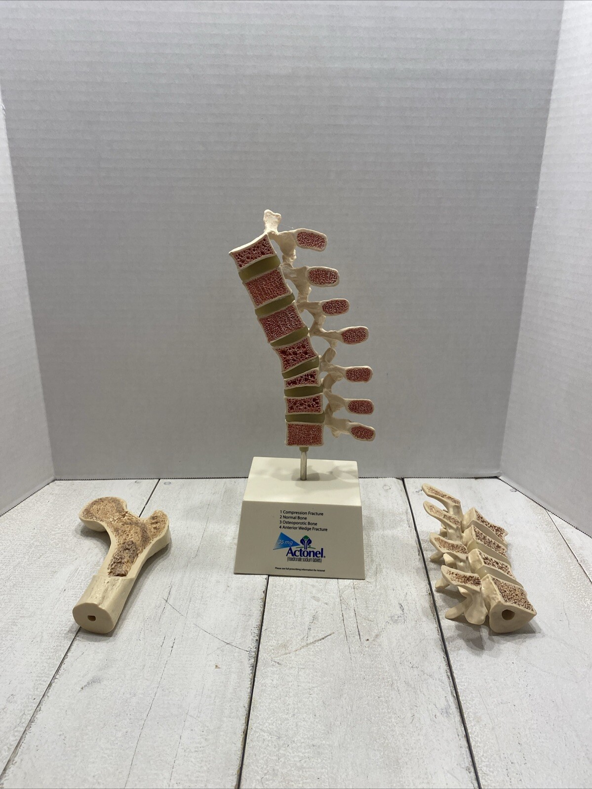 Drug Rep ACTONEL Dr’s Office Display