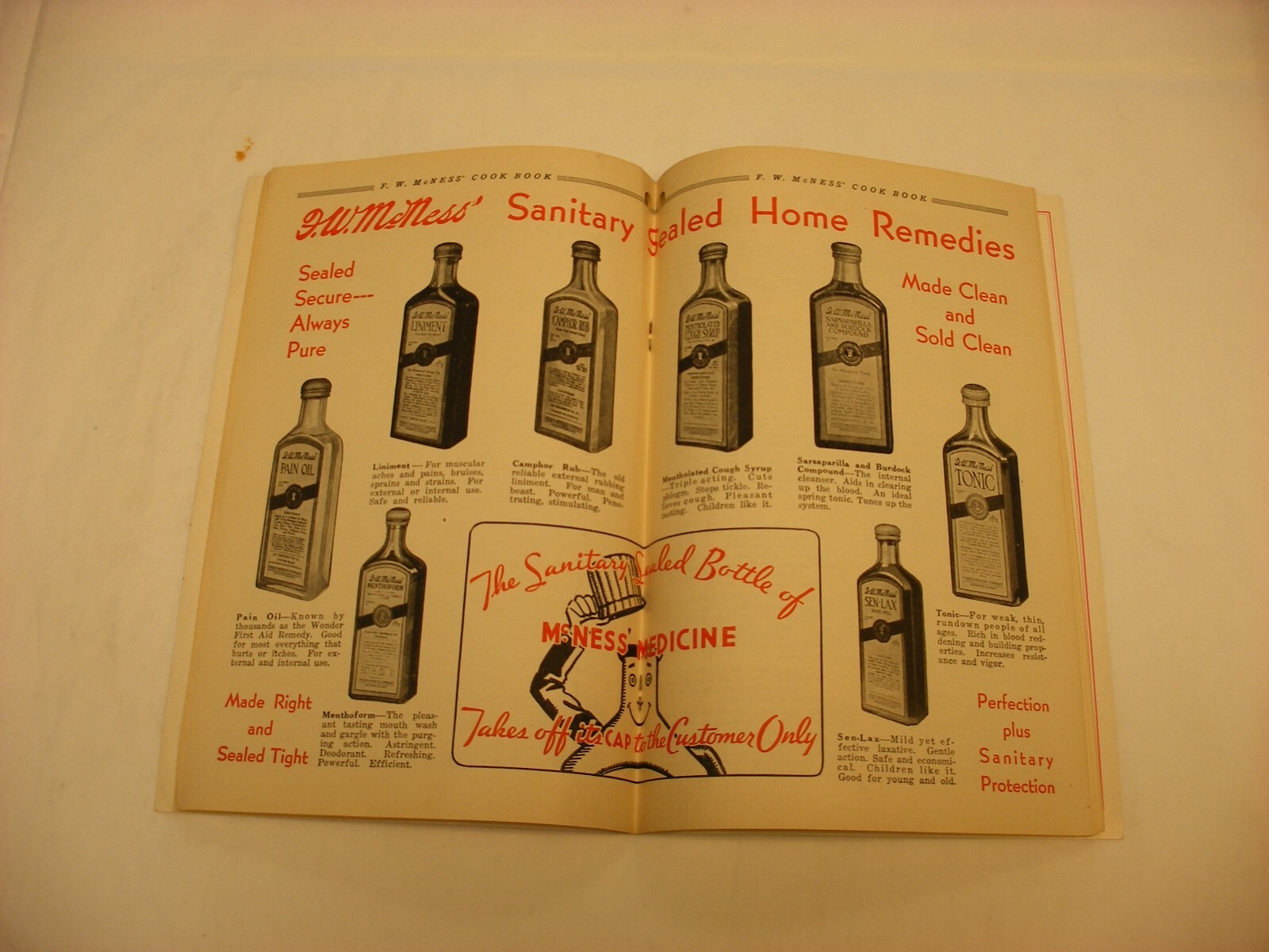Vtg 1933 F. W. McNess Co. Freeport IL Pharmacy Medical Cure Cookbook
