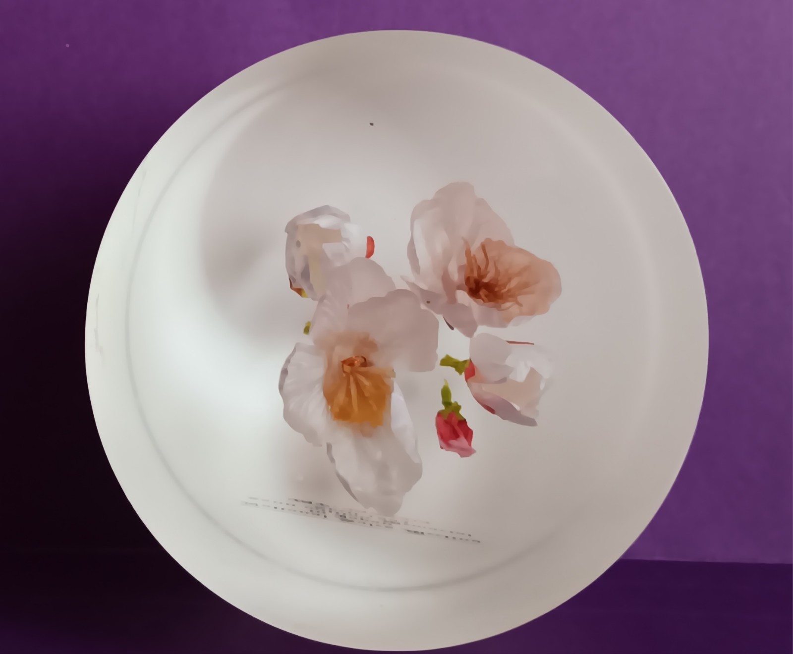 DRUG REP LUPRON DEPOT & LUPRON LUCITE PAPERWEIGHT NATIONAL SALES JAPAN