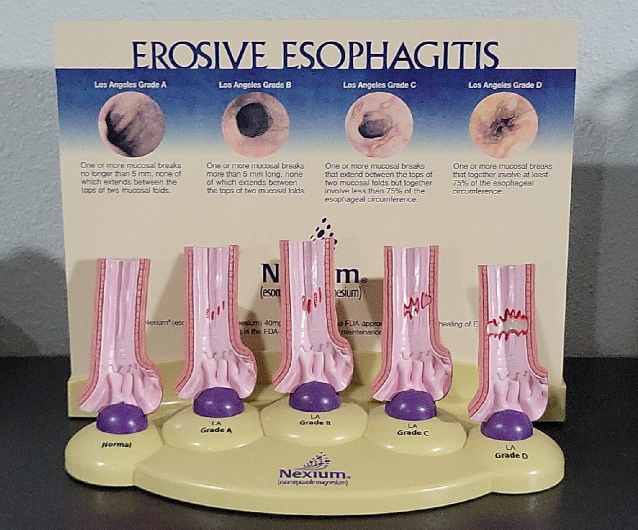 Vintage Nexium Doctor Pharmaceutical Display Erosive Esophagitis