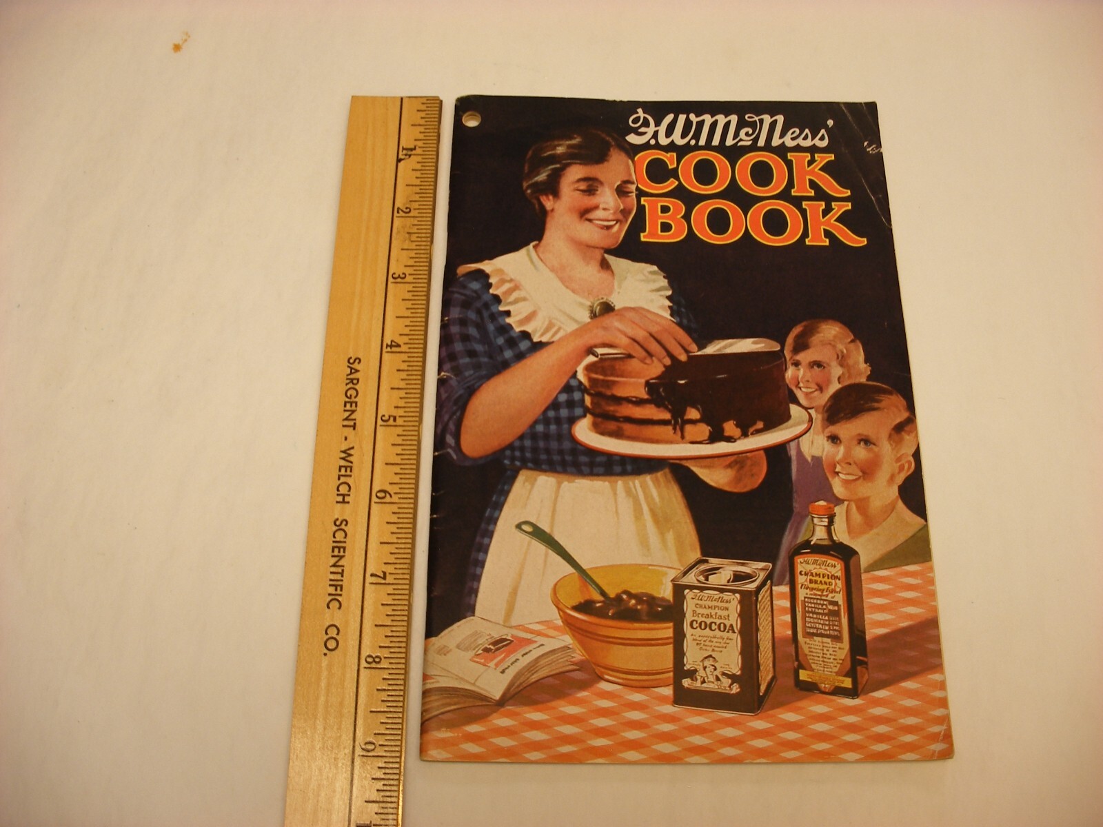 Vtg 1933 F. W. McNess Co. Freeport IL Pharmacy Medical Cure Cookbook