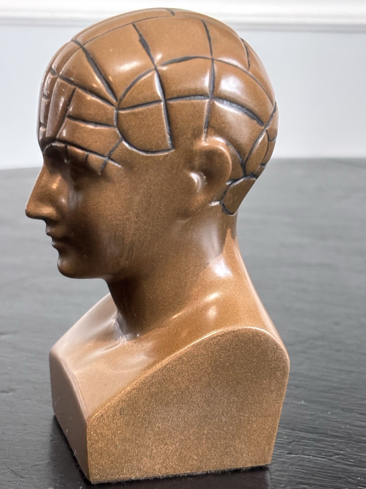 PHRENOLOGY HEAD-Medical Advertising-Promotional Statue BUST-Discontinued PAXIPAM