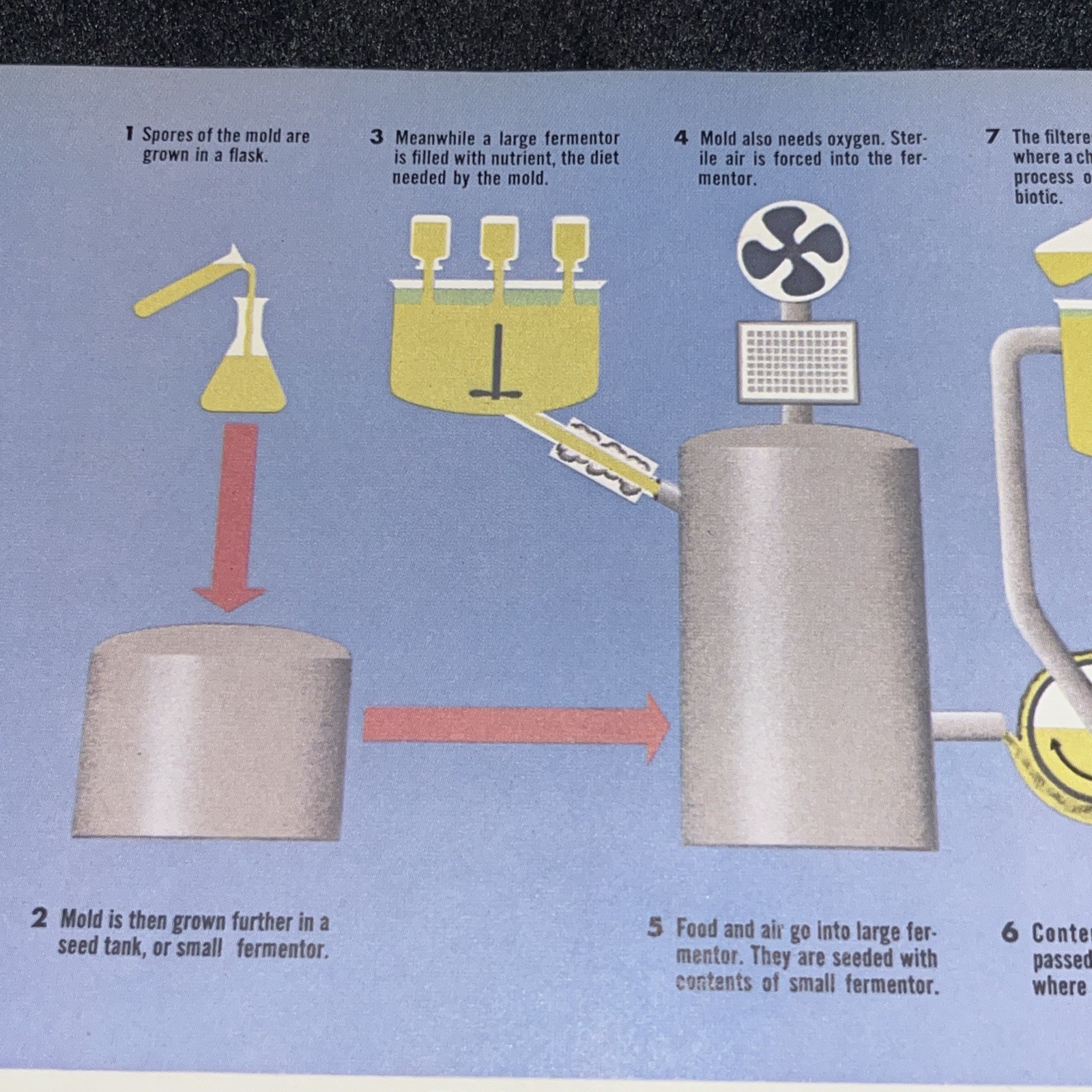 Weimer Purcell Antibiotic Production Illustration 1967 Original Encyclopedia