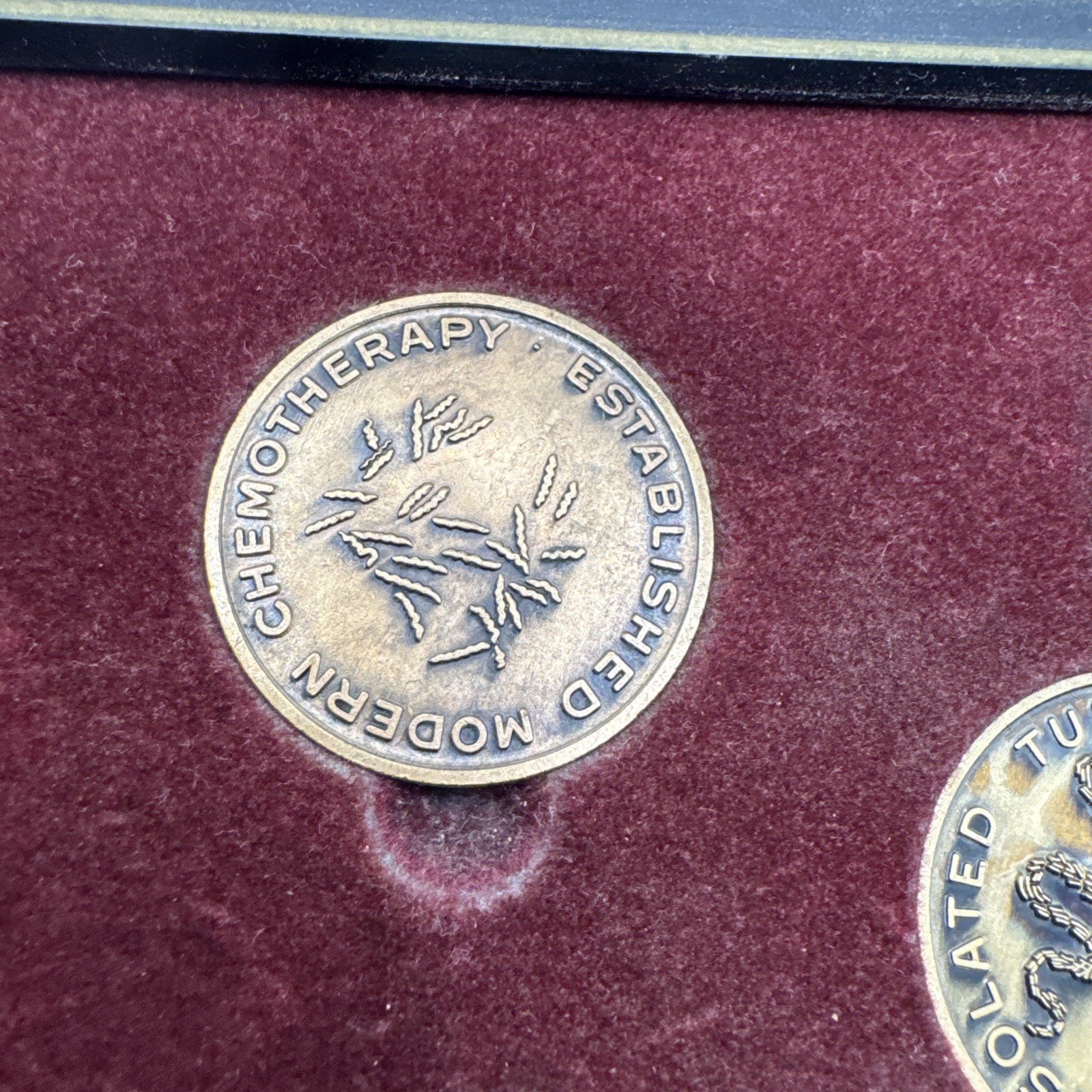 RARE Eli Lilly & Co Coins PIONEERS IN THE FIGHT AGAINST INFECTIOUS DISEASE FRAME
