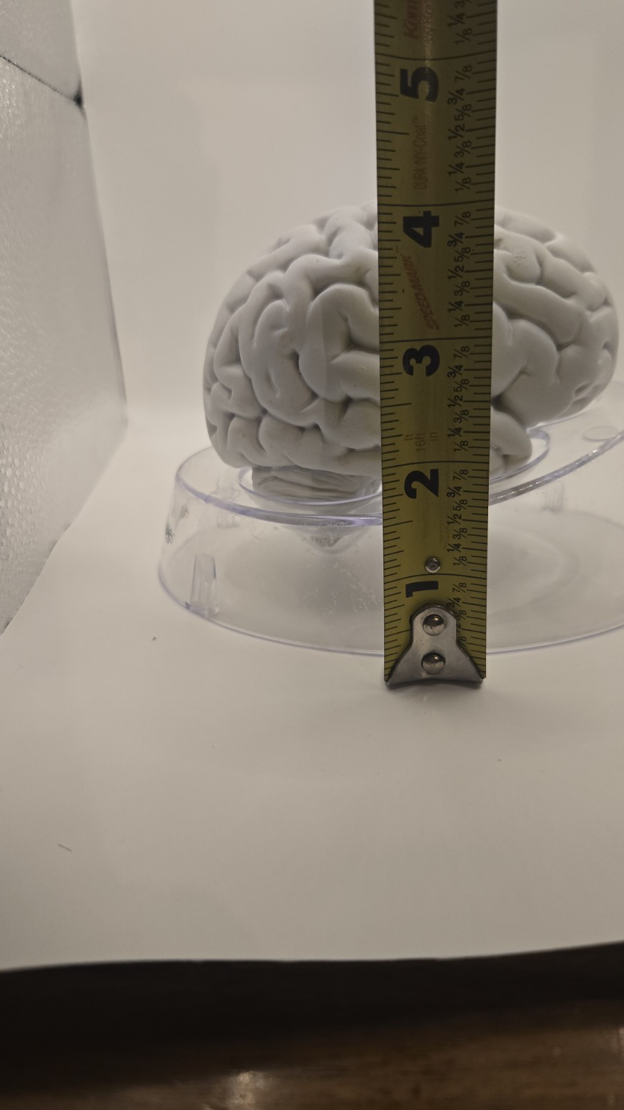 Alkermes Anatomical Brain Model Pharmaceutical Promo Desk Display