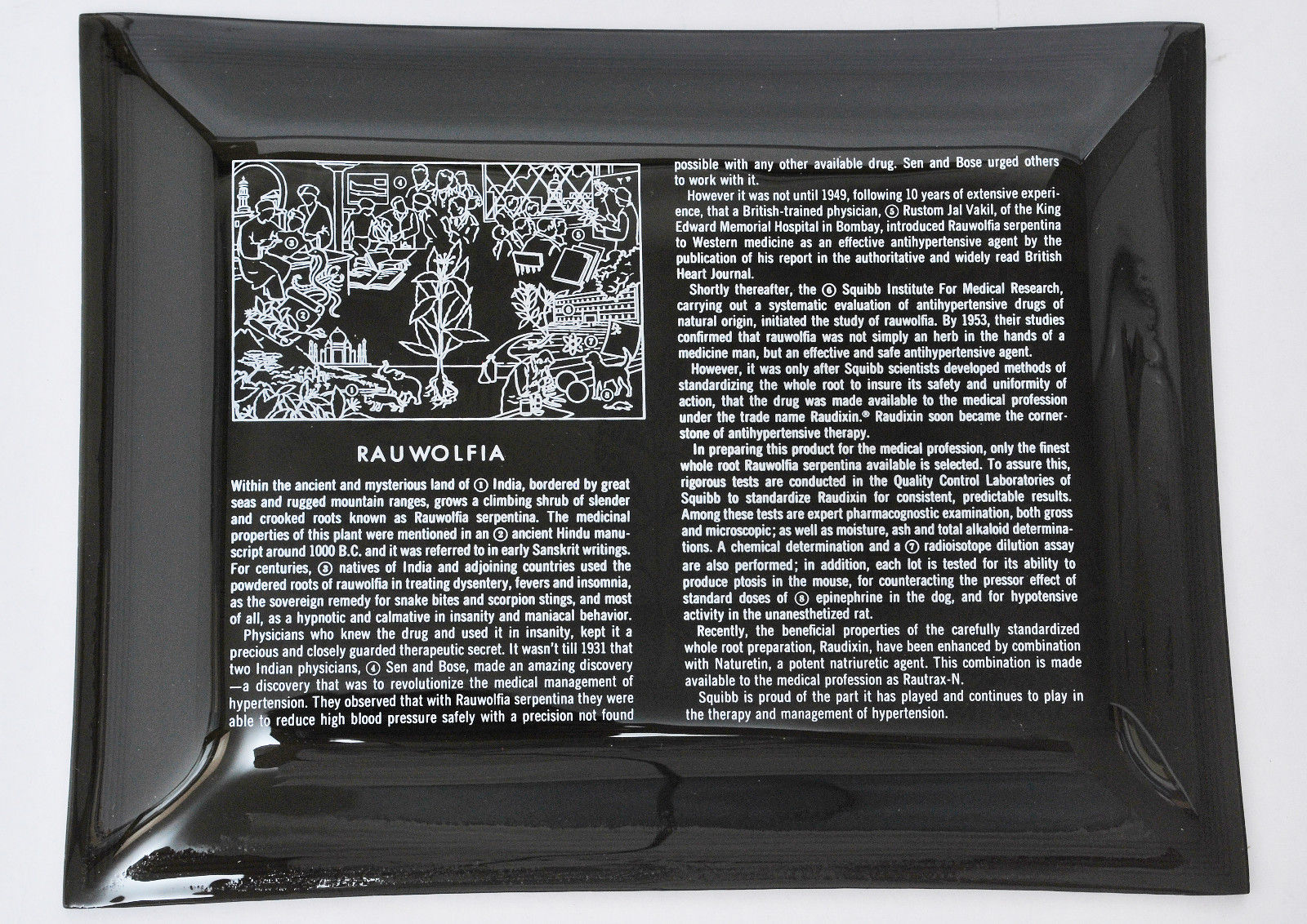 Squibb Drug Vtg ’50s Promo Black Glass Tray Rauwolfia Root India Raudixin Color