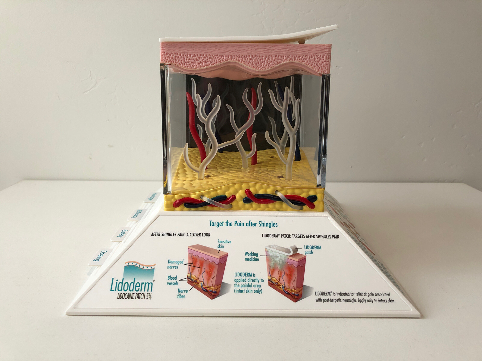 Endo Pharmaceuticals Drug Rep 3D Light Up Lidoderm Lidocaine Patch Model LD-1533