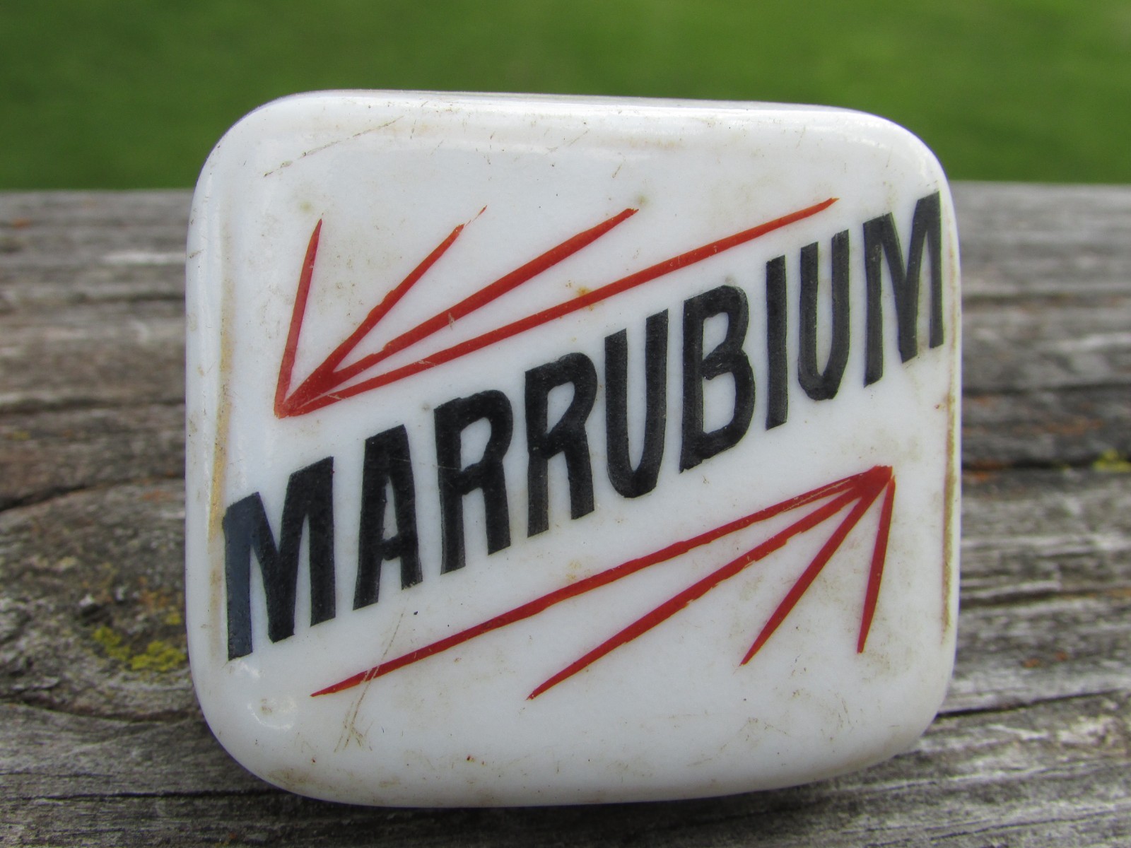 Unusual 1900s MARRUBIUM (Horehound) Porcelain APOTHECARY Cabinet Drawer KNOB A++