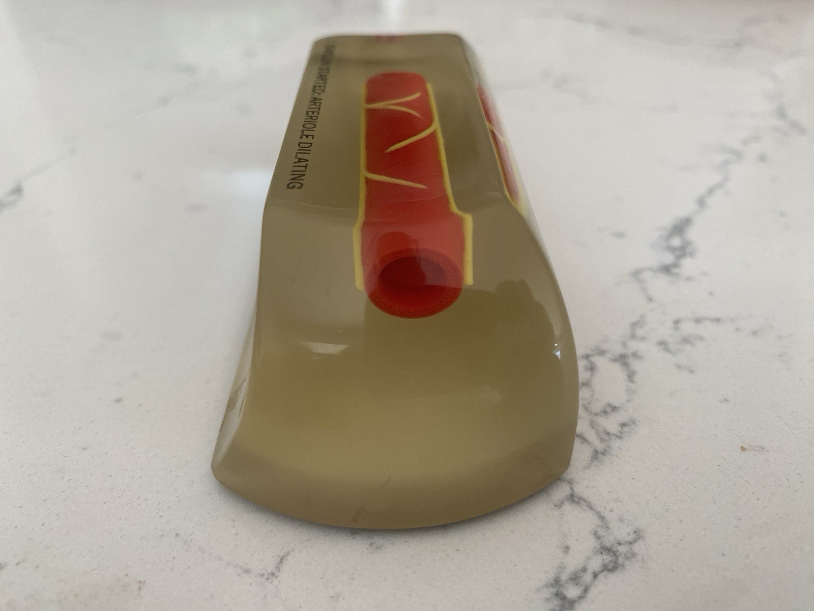 Rare 1960s CIBA Ismelin Promotional Pharmaceutical Drug Lucite Paperweight