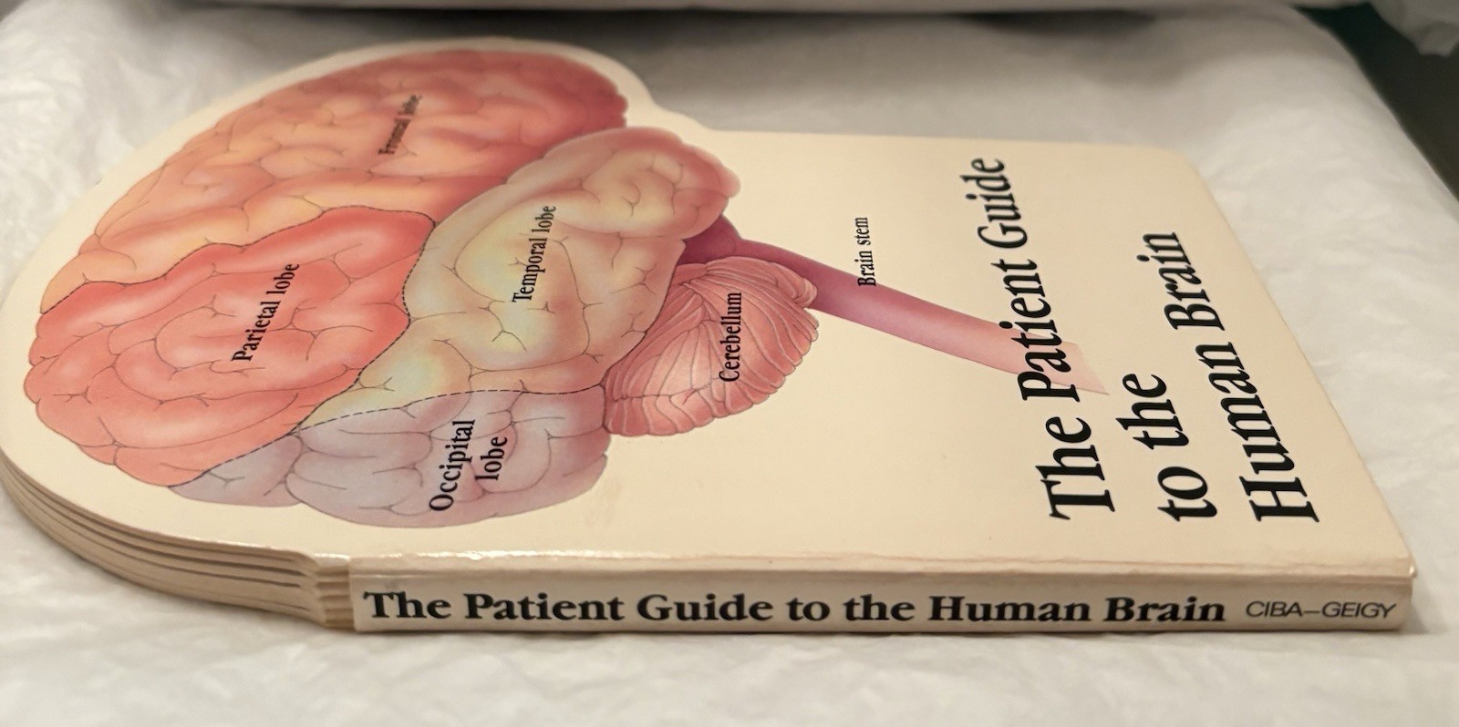 VTG 1990 TEGRETOL “PATIENT GUIDE TO THE HUMAN BRAIN” PHARMA LOGO ADVERTISING