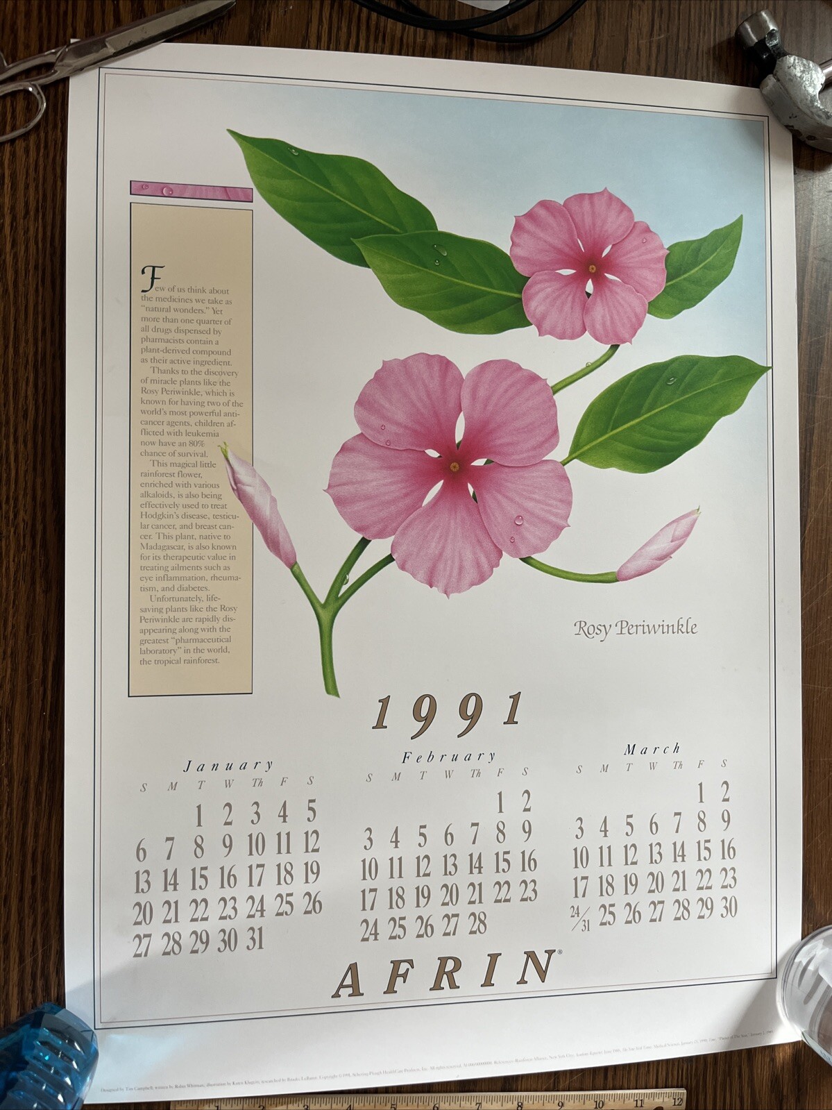 Vintage 1991 Rosy Periwinkle Pharmacy History Pharmacist Poster Afrin Promo