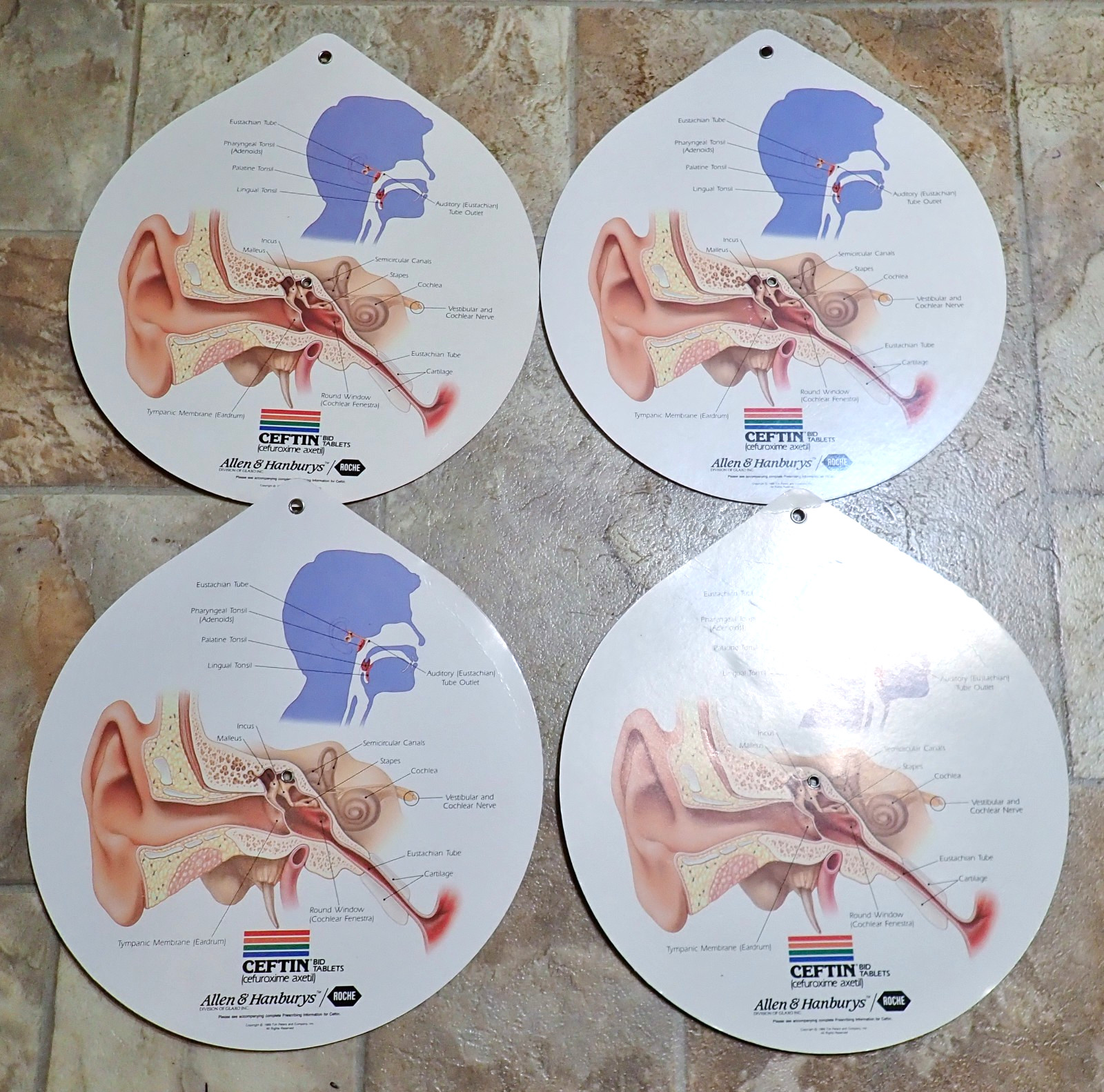 Lot of 4 Respiratory Tract Infections Wheel Medical Displays CEFTIN Advertising