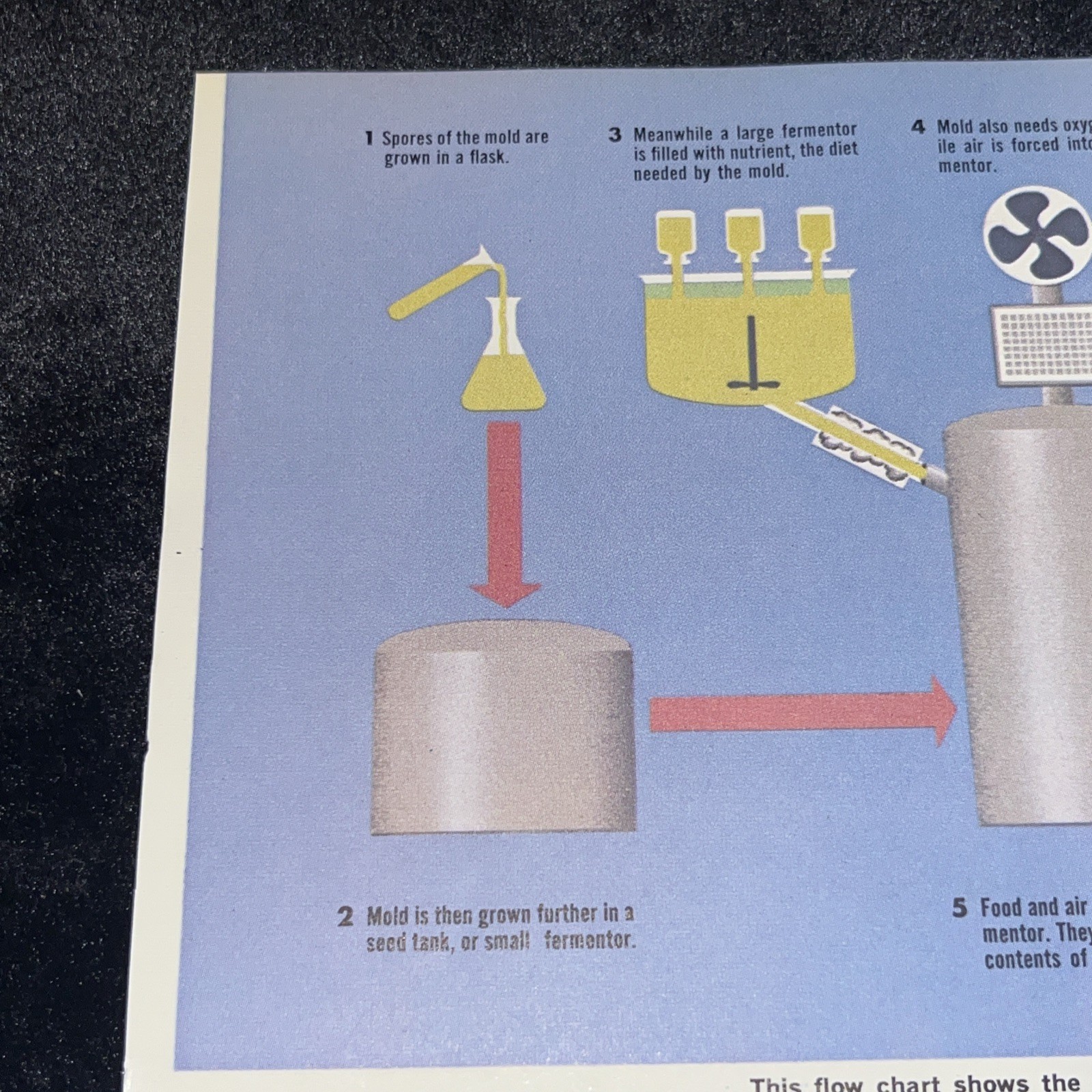 Weimer Purcell Antibiotic Production Illustration 1967 Original Encyclopedia