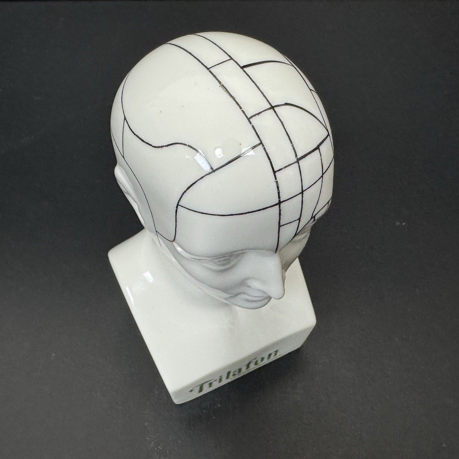 Schering TRIFALON Full-Range Tranquilizer Phrenology Head Ceramic Bust 1960s