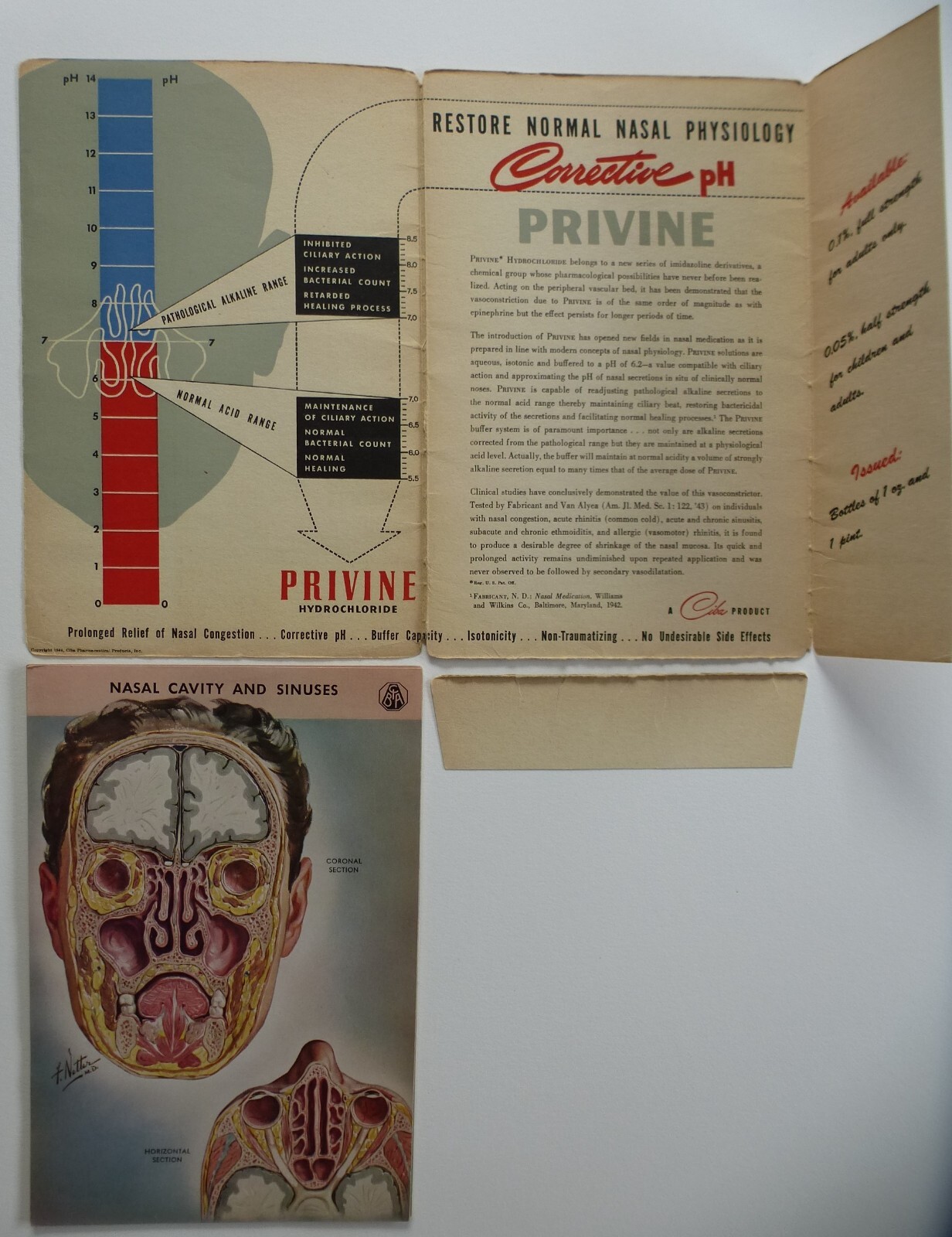 18 Ciba Pharmaceutical Folders w/ Color Plates – Pathology Anatomy War Injuries