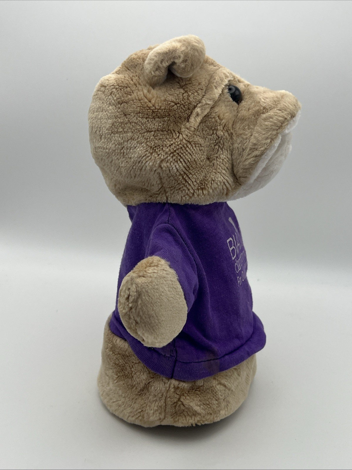 Biaxin Dog Hand Puppet Plush 9.5 Inch Pharma Promo Stuffed Animal Toy