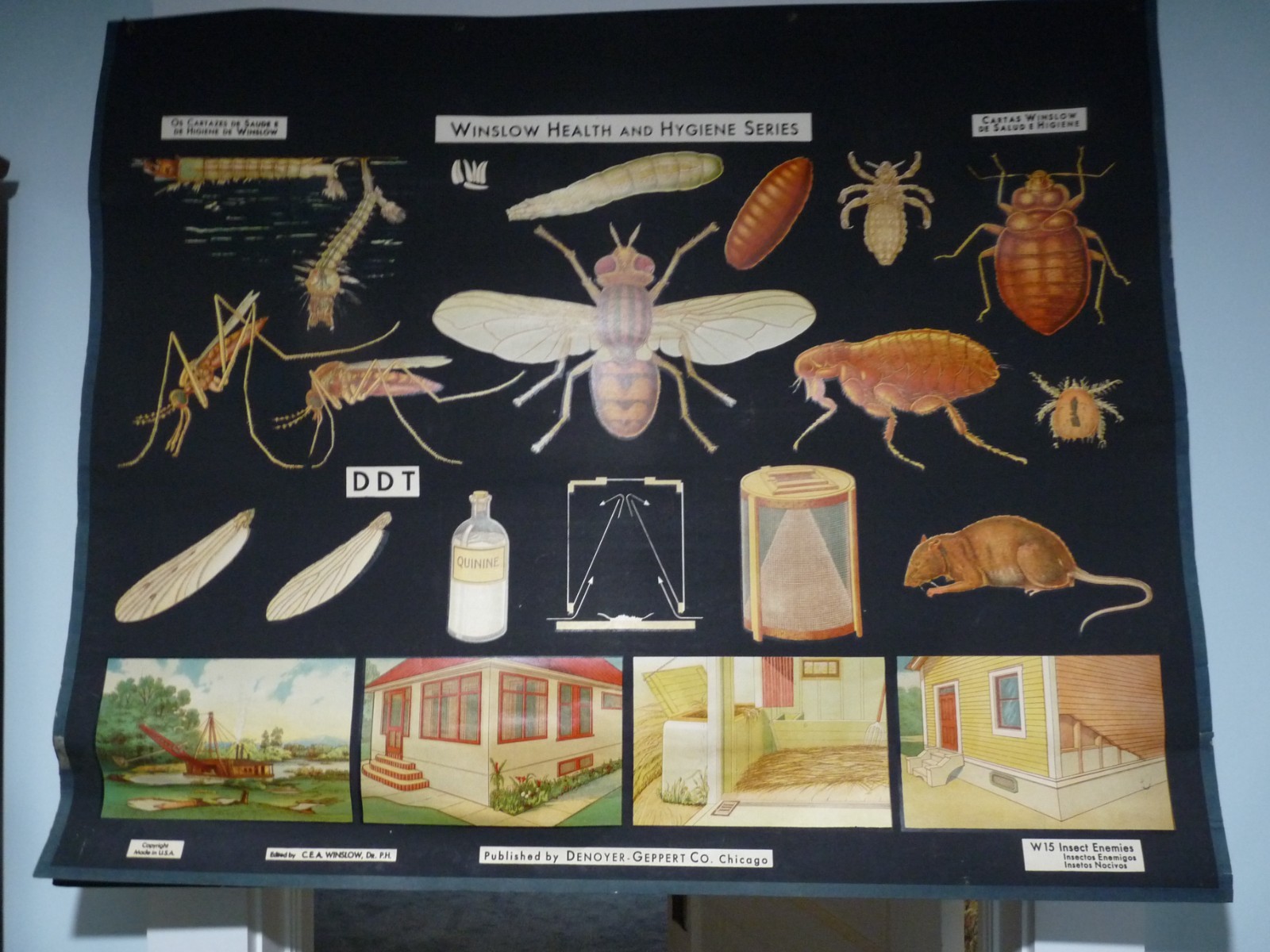 “INSECT ENEMIES” 1930S PULL DOWN MEDICAL CHART , DENOYER GEPPERT 44X36