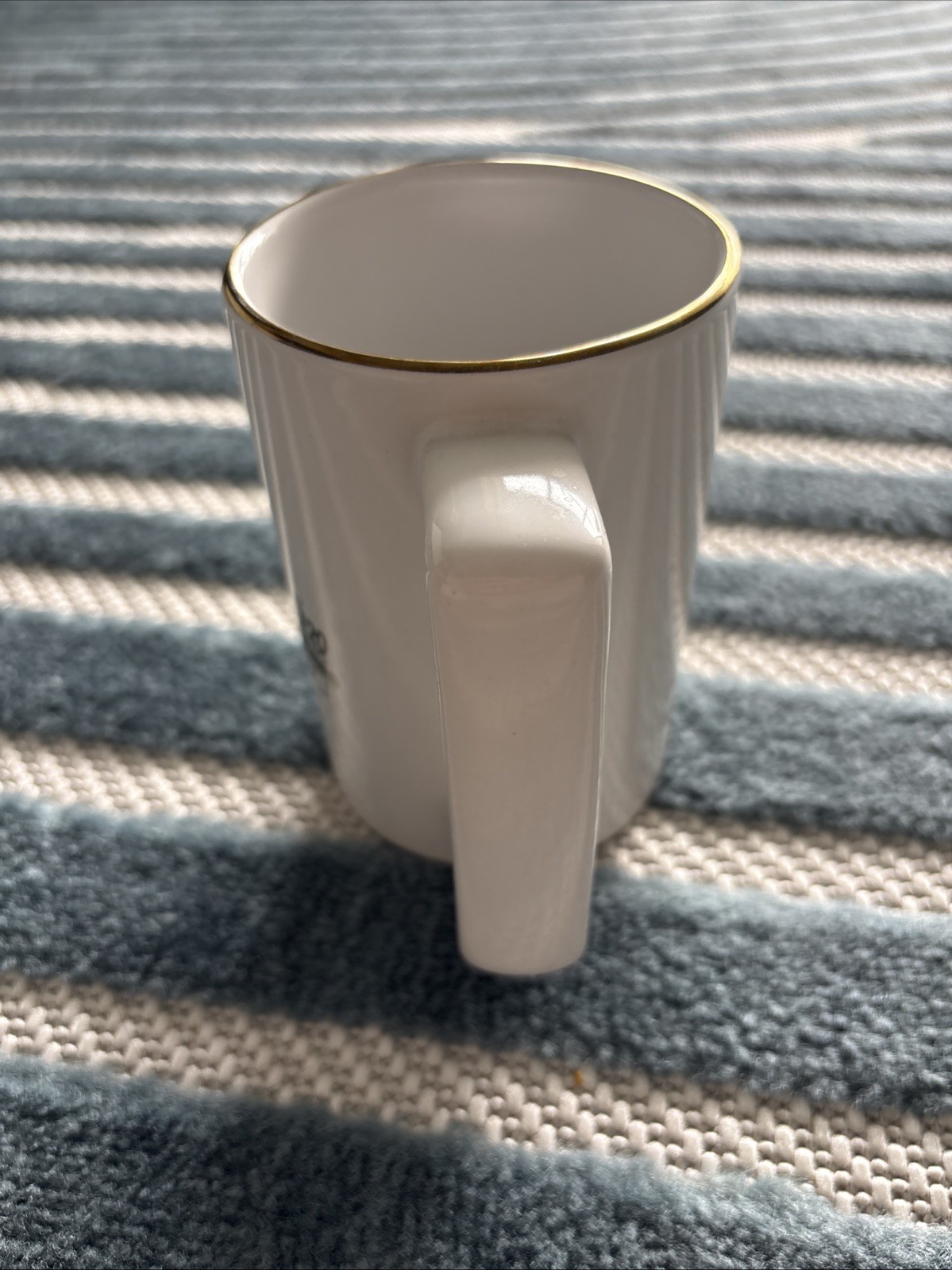 Paxil Paroxetine Pharmaceutical Drug Rep Collectible 12 fl oz Coffee Mug