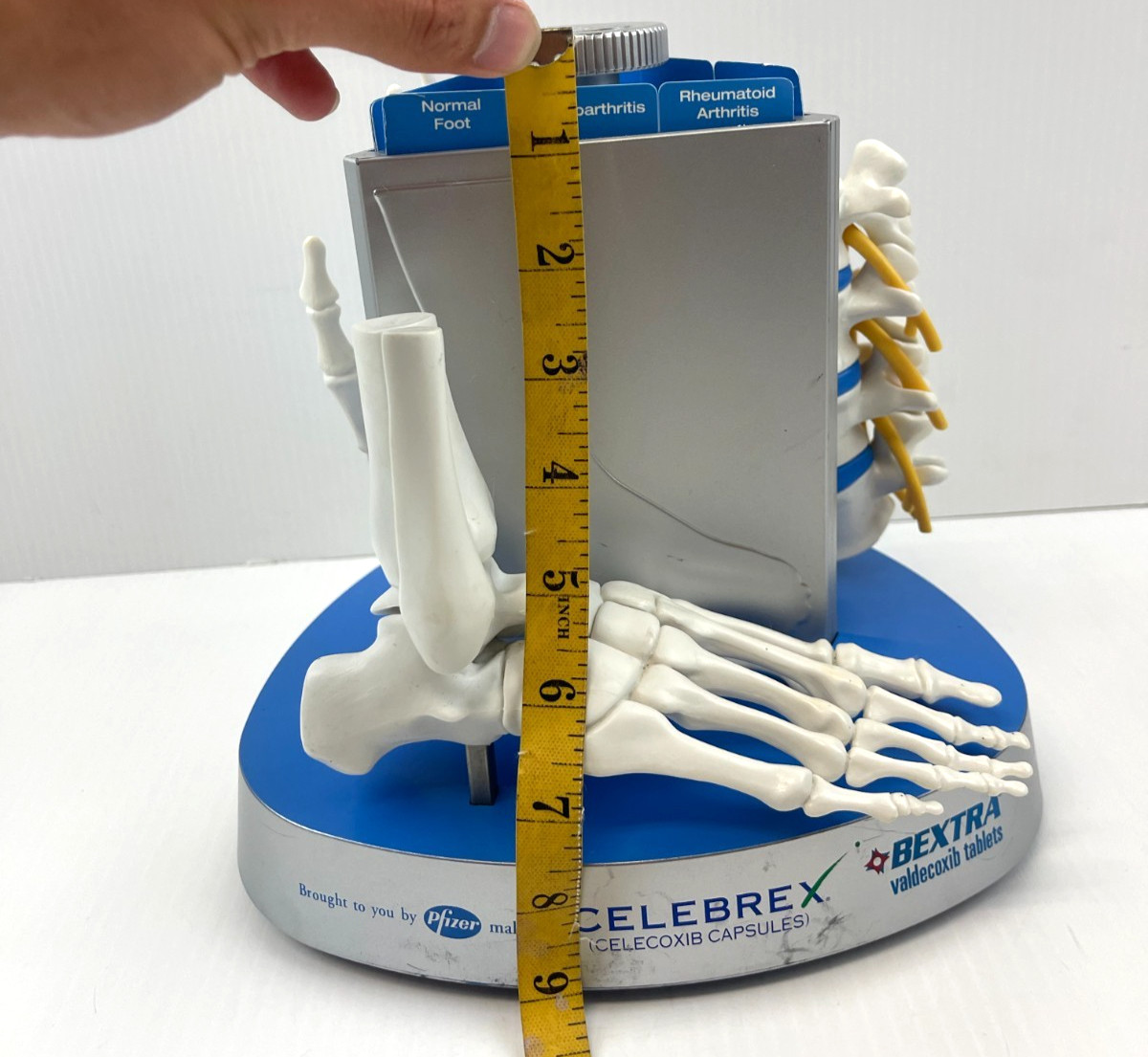 Pfizer Pharmaceutical Advertisement Celebrex Bextra Arthritis Display Model