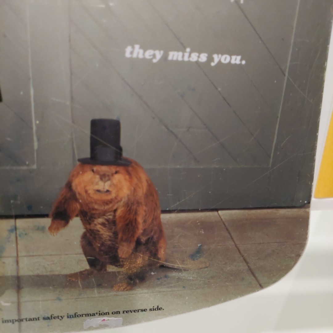 Rozerem Ramelteon Clipboard Ad vintage pharmaceutical advertising Lincoln Beaver
