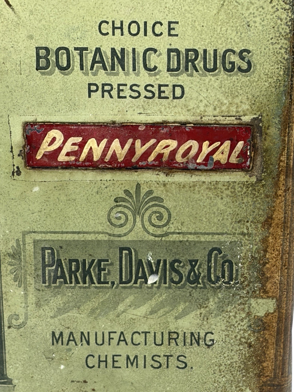 VTG/Antique Park, Davis & Co Choice Botanic Drugs Pressed Pennyroyal