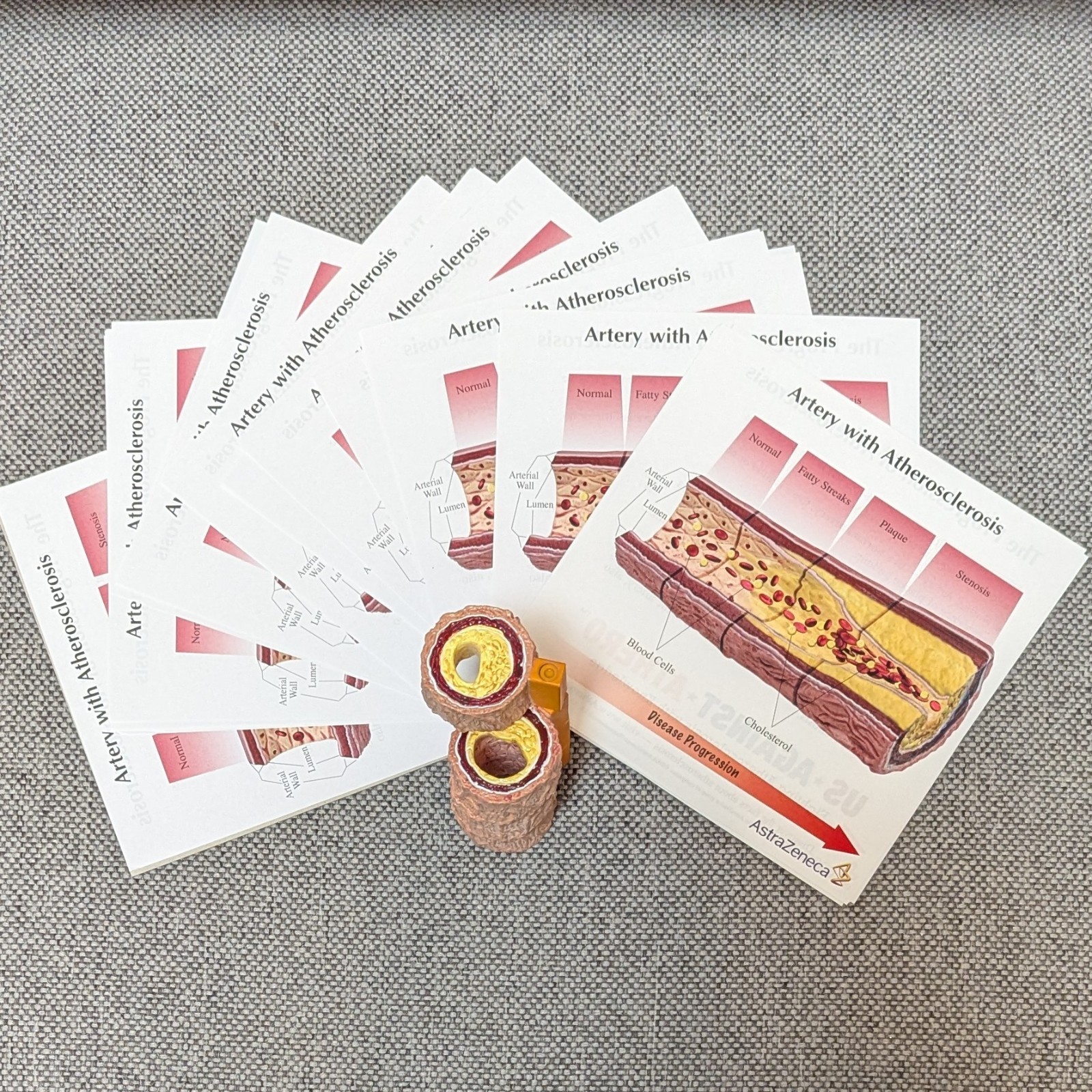 Drug Rep Promo AstraZeneca Cholesterol Artery Display Model w Educ. Flyers 2007
