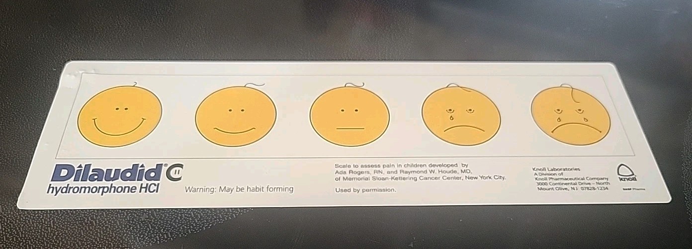 DILAUDID HYDROMORPHONE PAIN SCALE RULER Plastic -Pharmaceutical Rare Promo